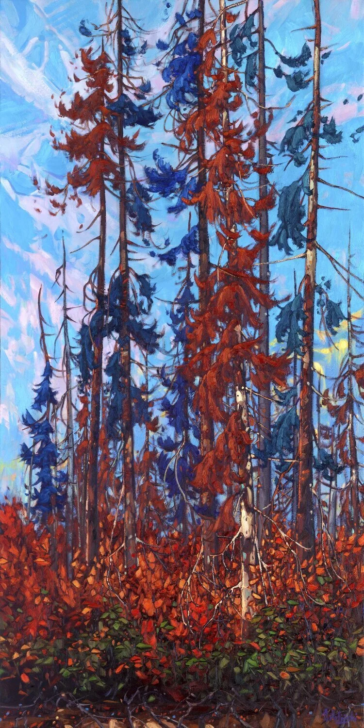 'NORTHERN SYMPHONY'