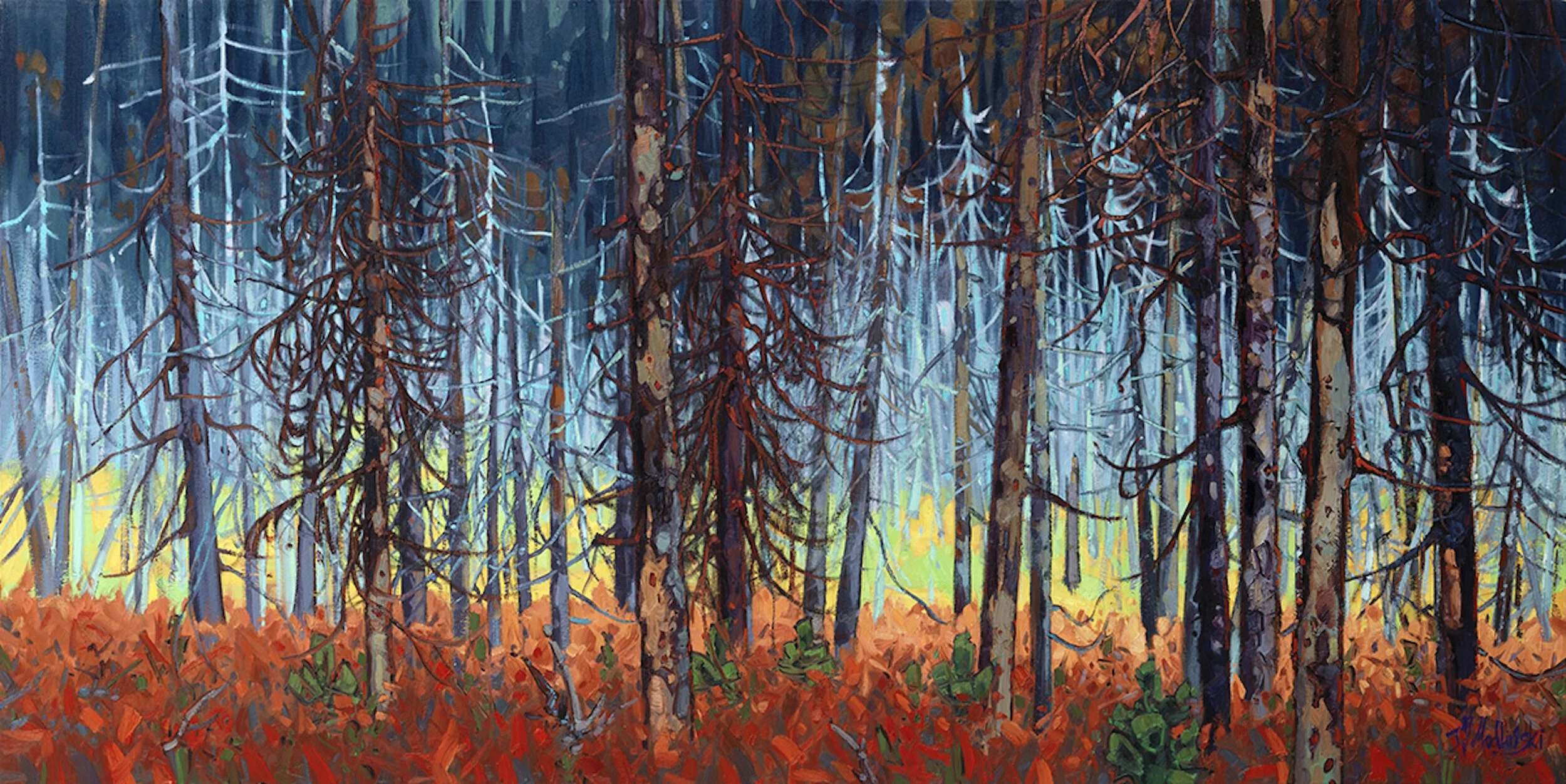 'GHOST FOREST'