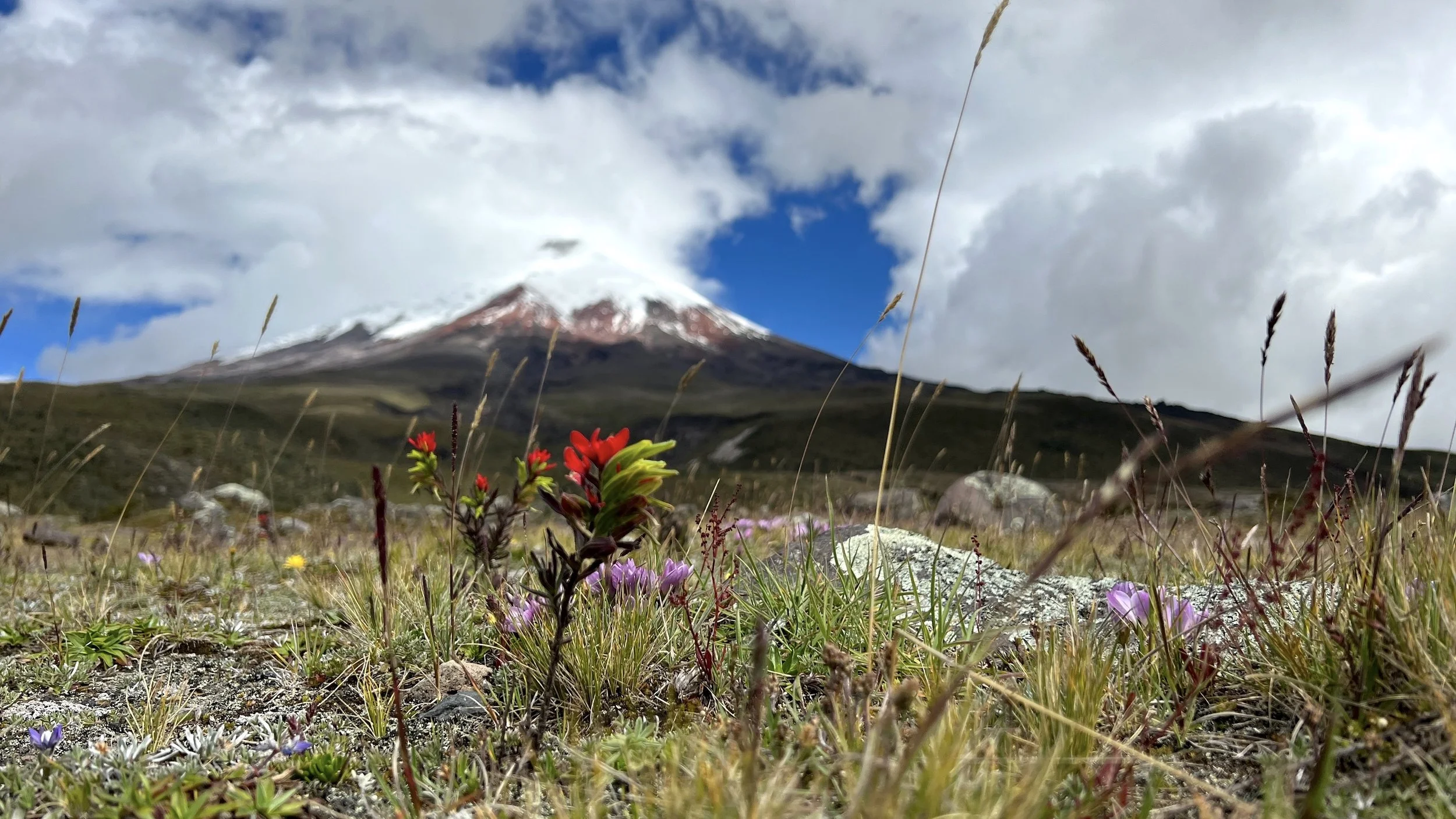 Notes from the Field: Cotopaxi National Park and erupting national strike.