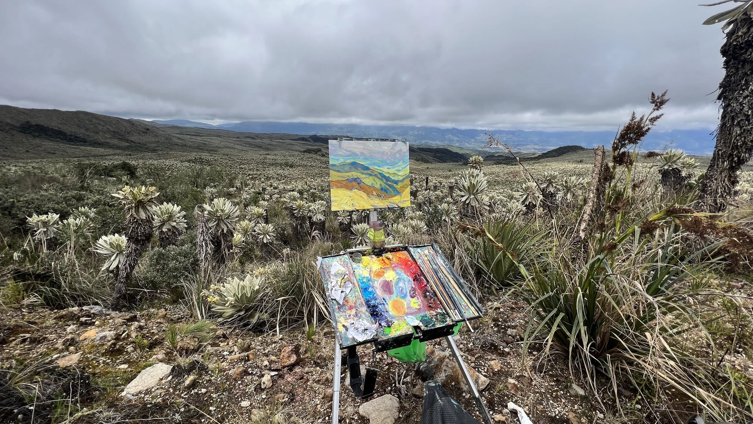 Notes from the Field: El Ángel