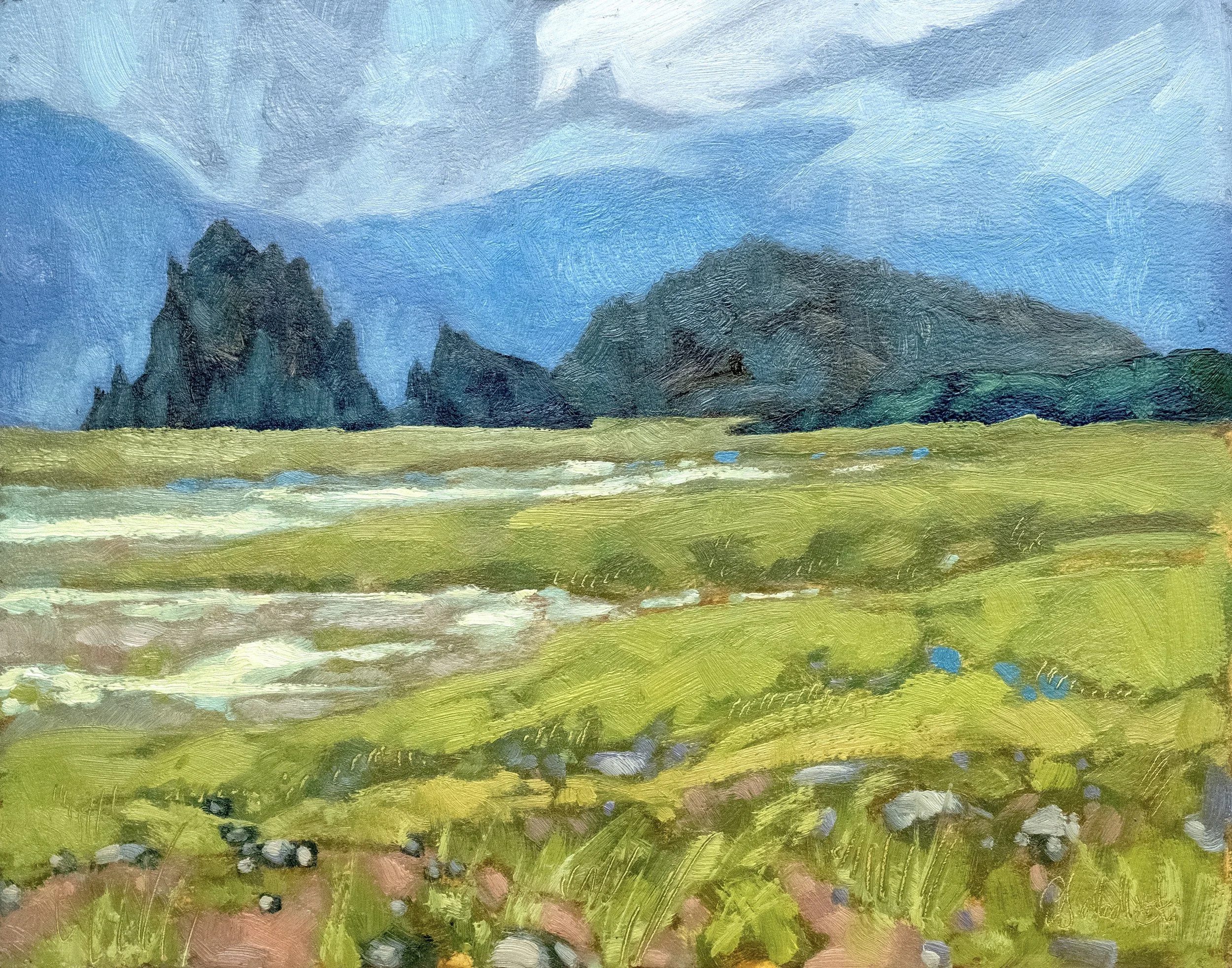 'EMERGING LIGHT' - WEEKEND SALE !