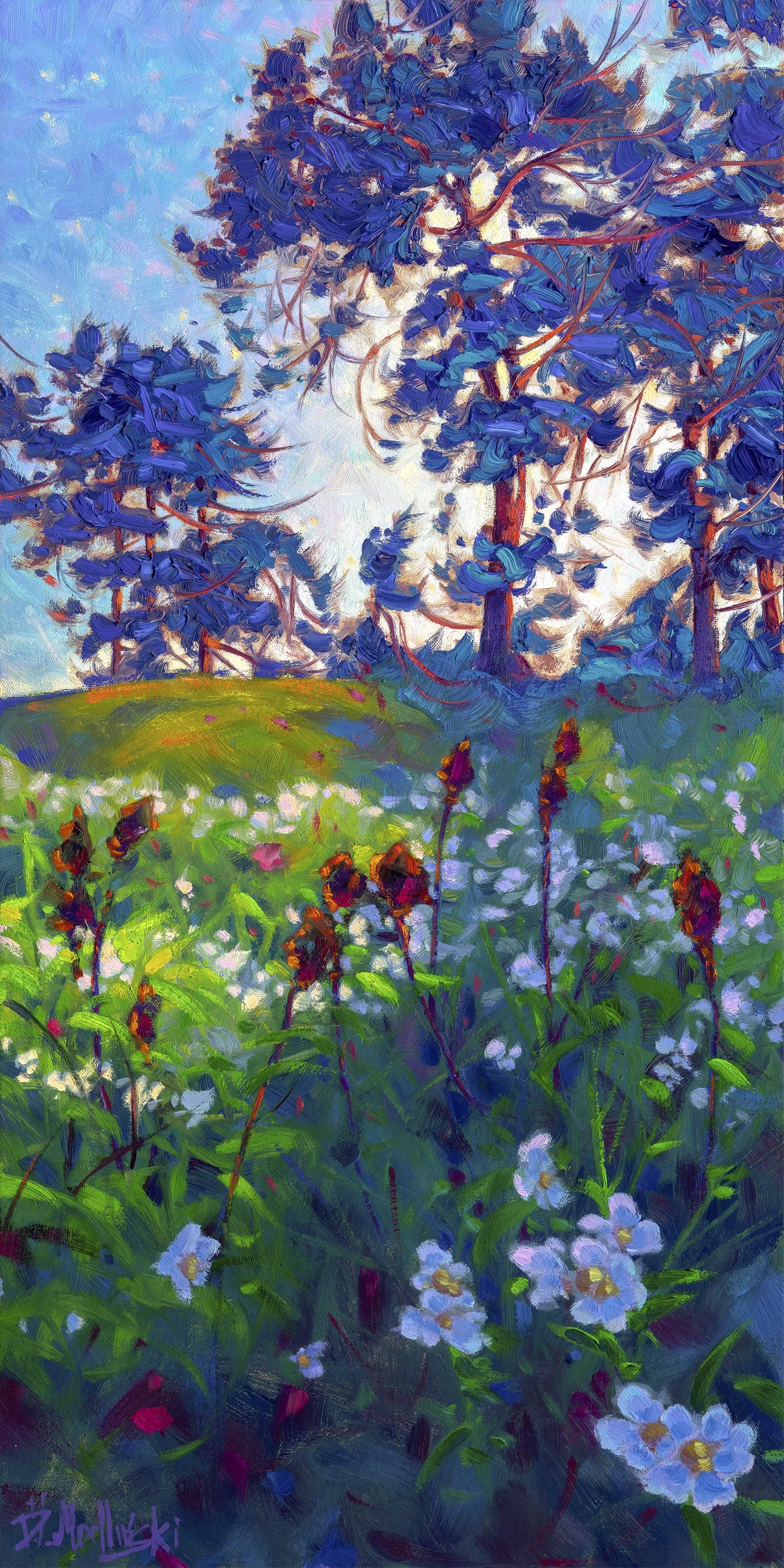 'SPRING PASSAGE-PENDER ISLAND'