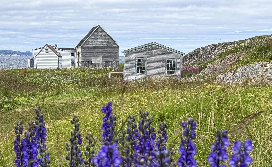 Landscape painting workshop in Newfoundland featuring plein air painting in the rugged coastal scenery of Atlantic Canada.