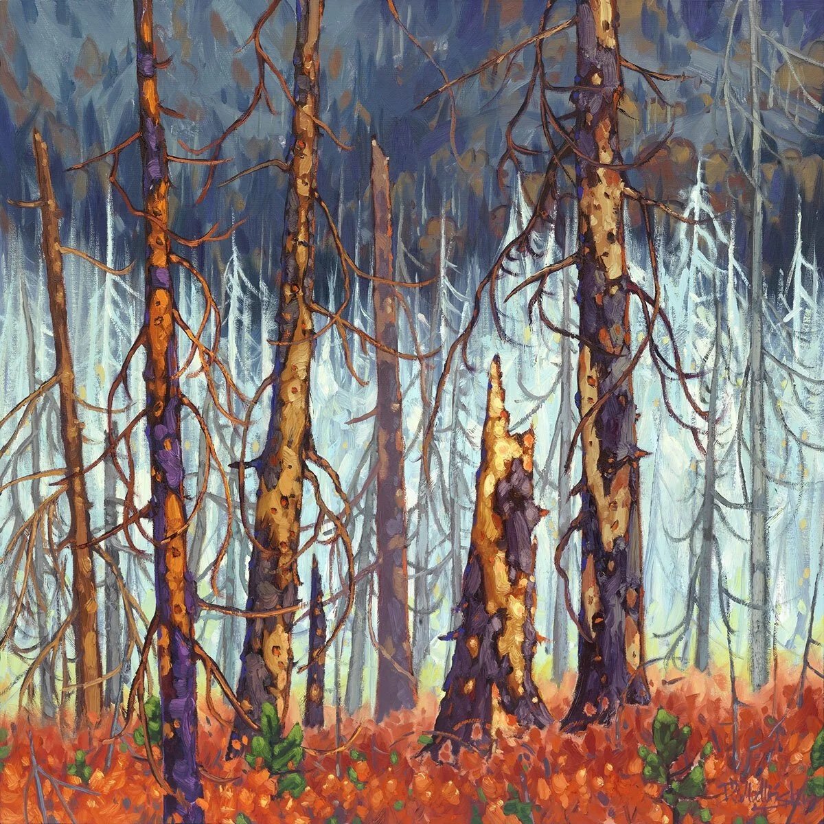 Finished oil landscape painting of a Yukon forest by artist Dominik Modlinski