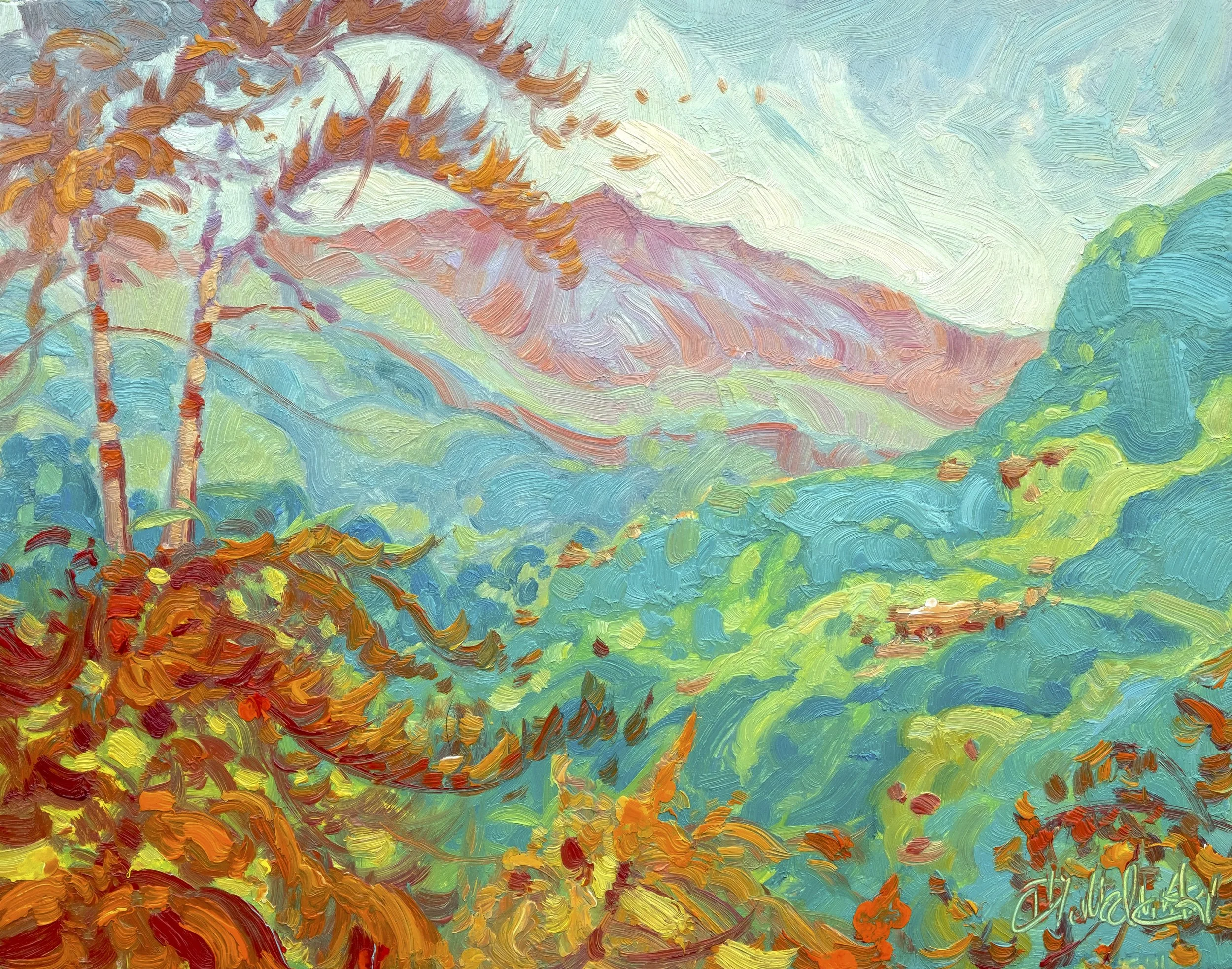 Hills of Vilcabamba 11" x 14" o:b.jpg