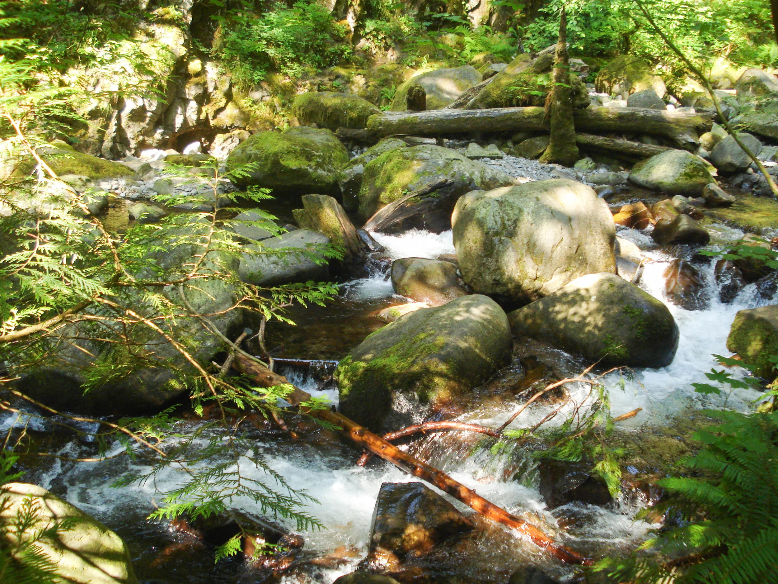 DSC03063-1.jpg