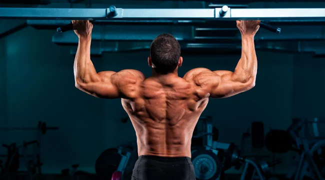 pullup_back_0.jpg