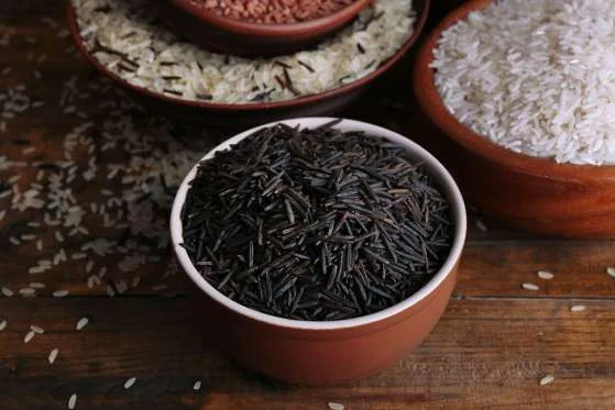 The 30 Best High-Protein Food for Metabolism