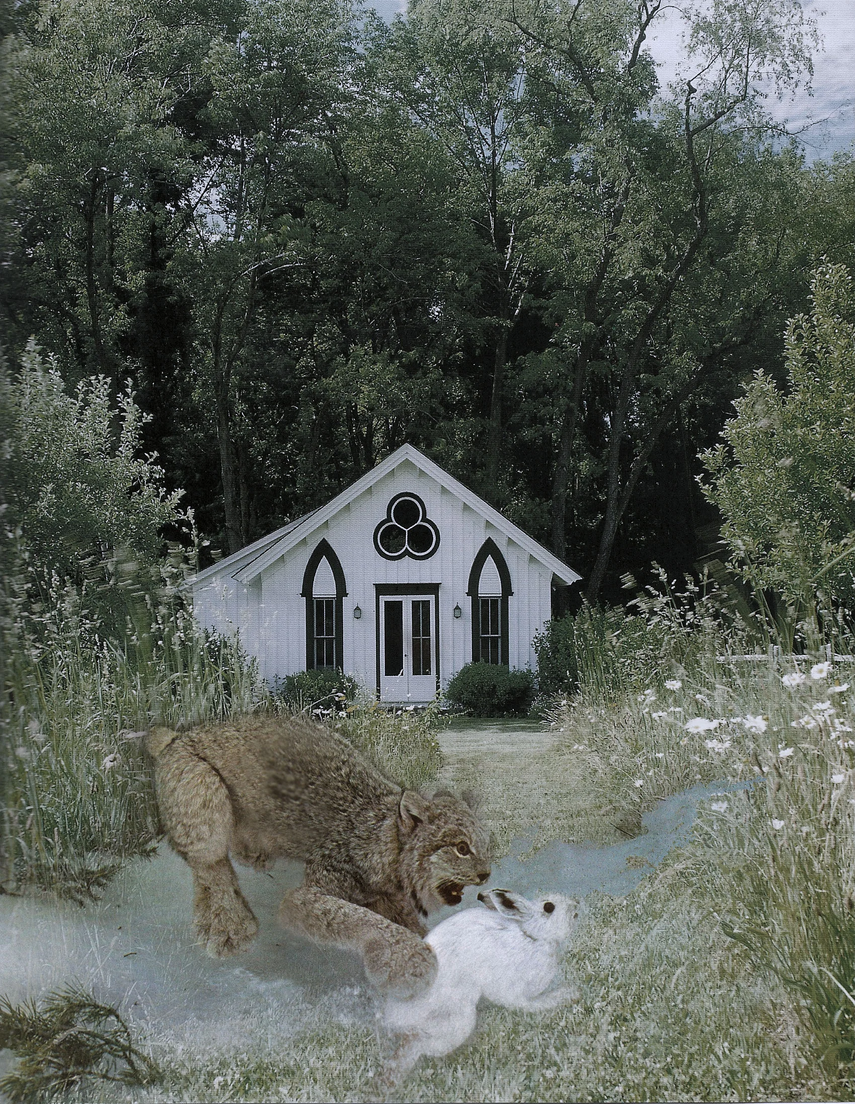 rabbit_done.jpg