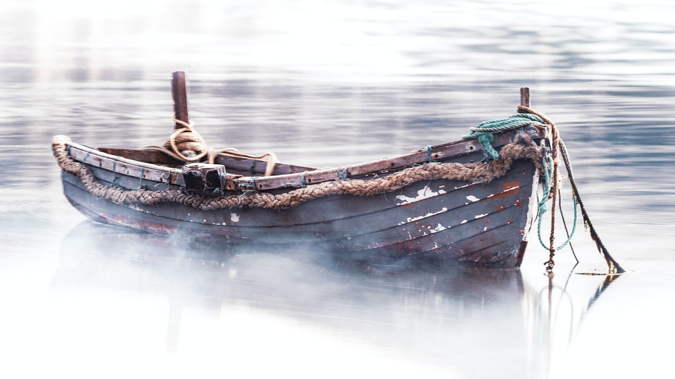 Two Responses to Christ: Fear or Faith? 