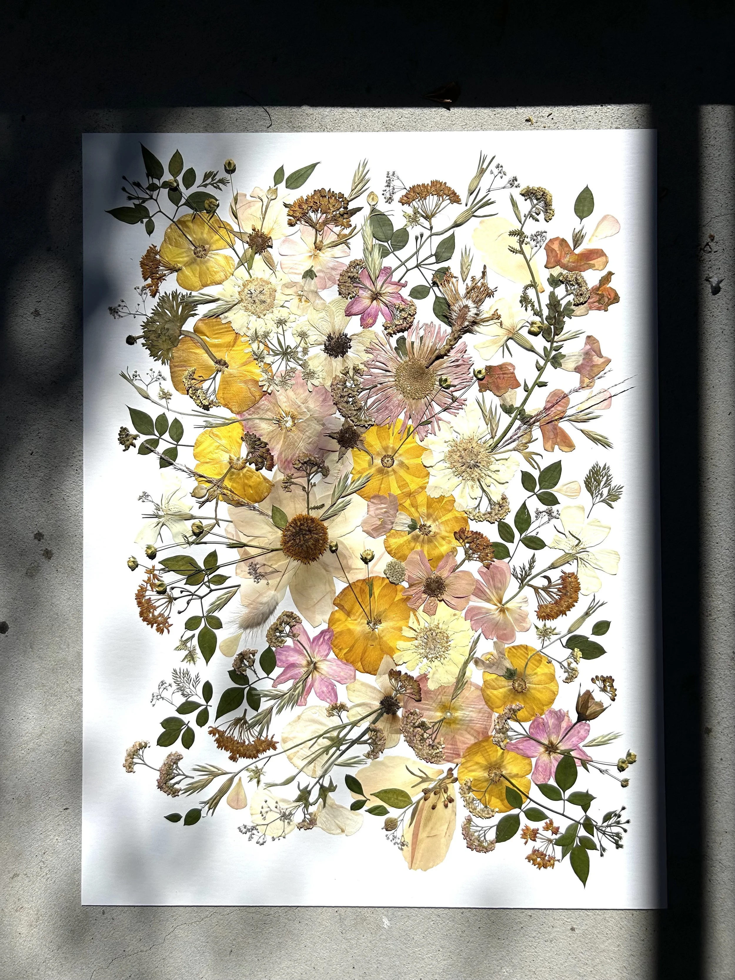 18 x24 Flower Preservation 