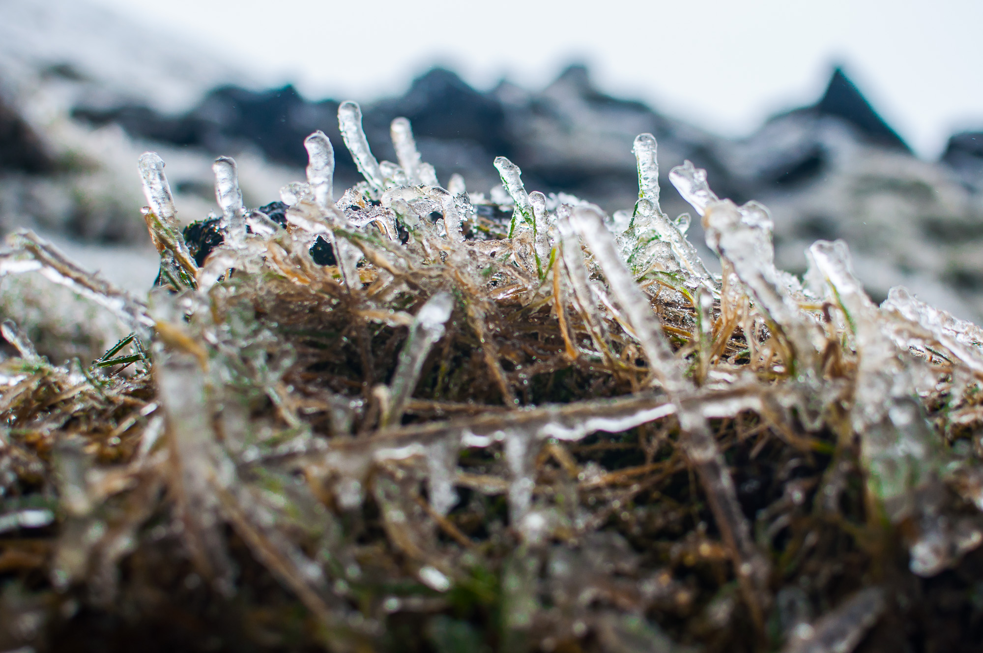 iceland_2015_1.jpg