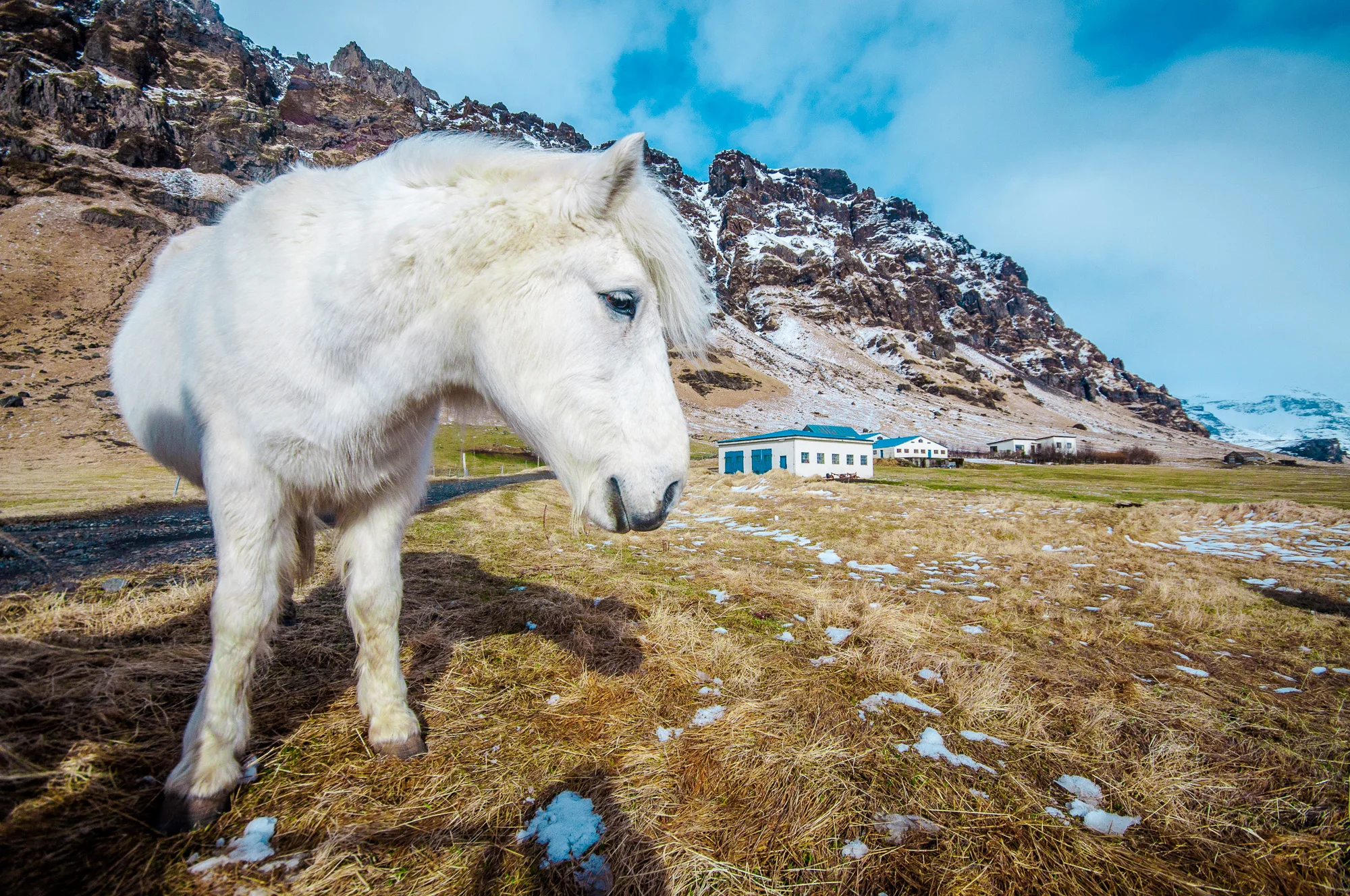 iceland_2015_17.jpg