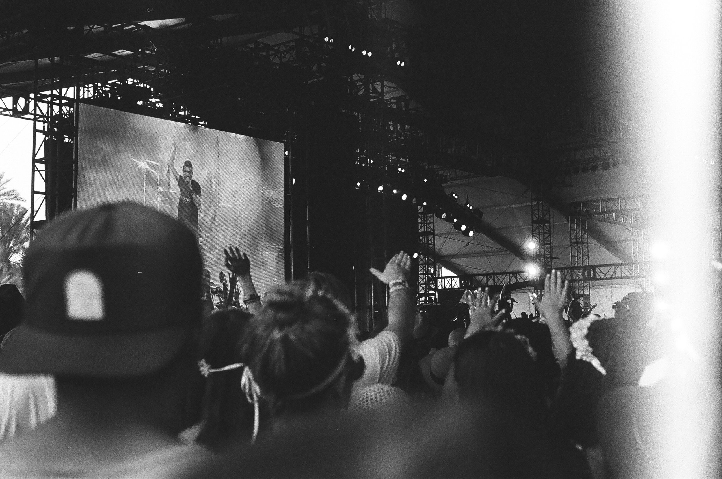 Coachella_2014-12.jpg