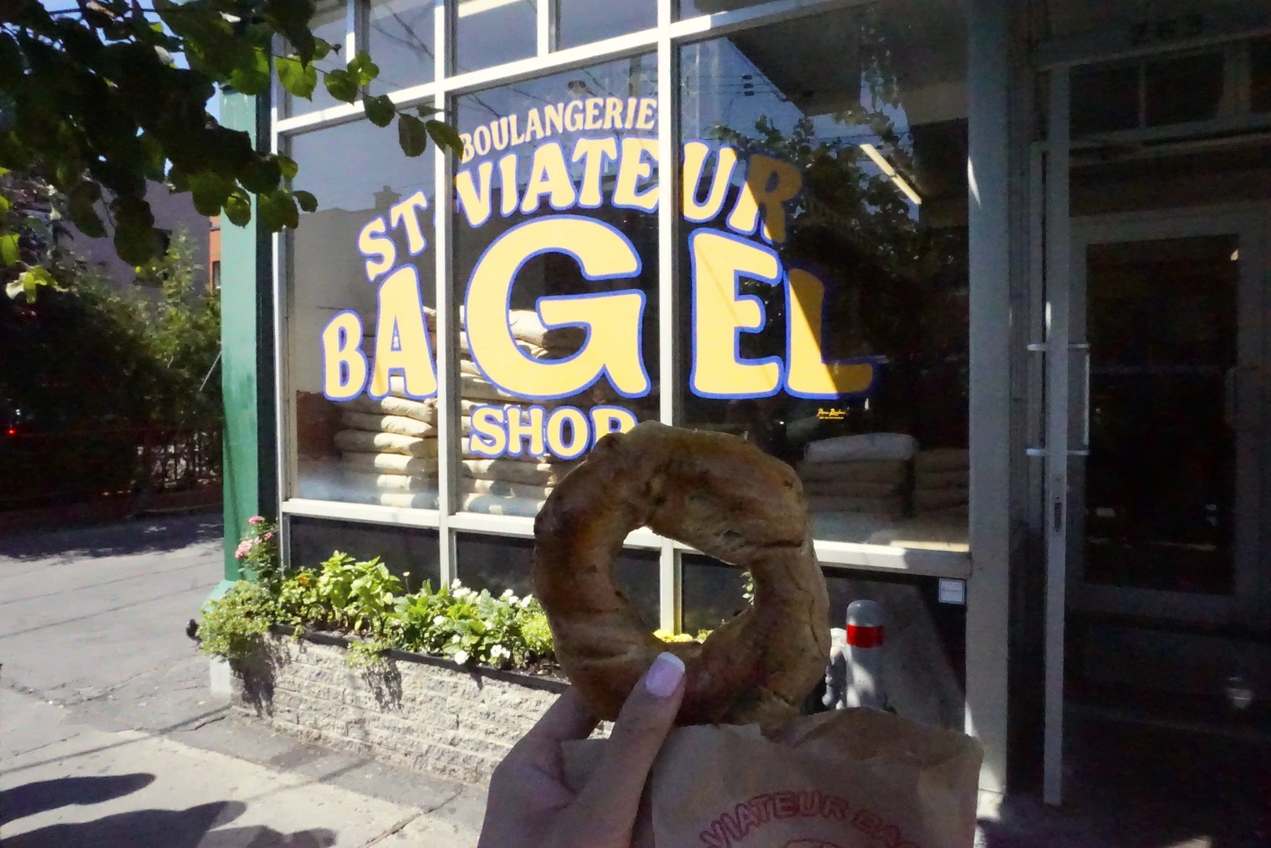St, Viateur Bagel