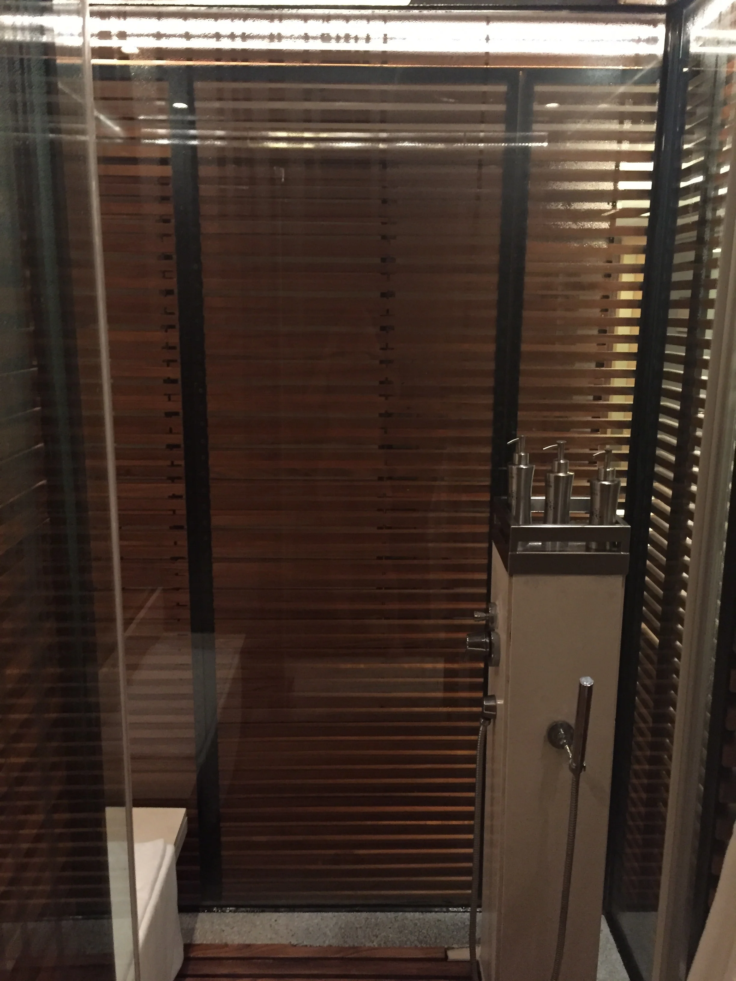 Duo function: steam & shower 