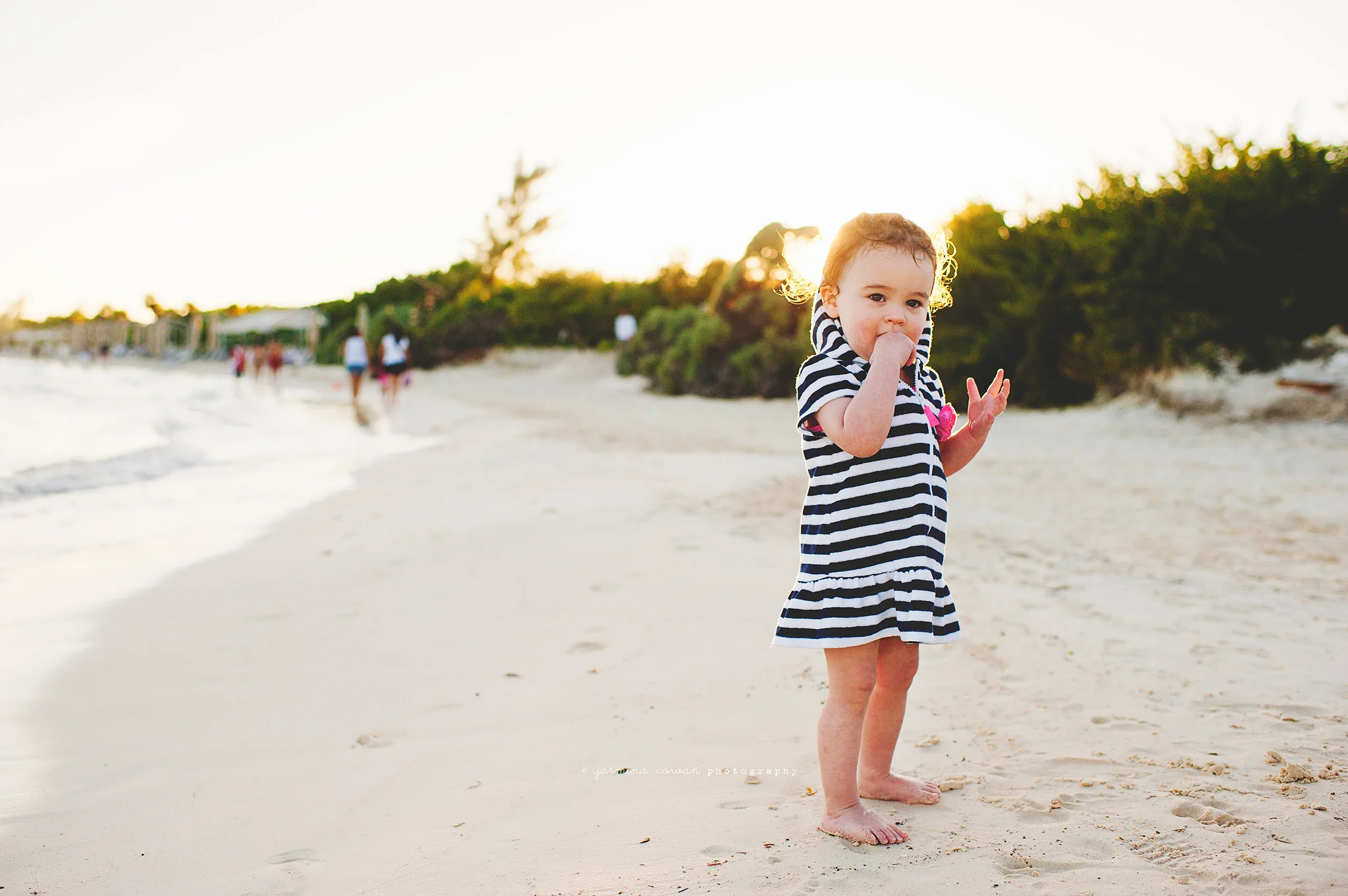 a day in the life | february edition 