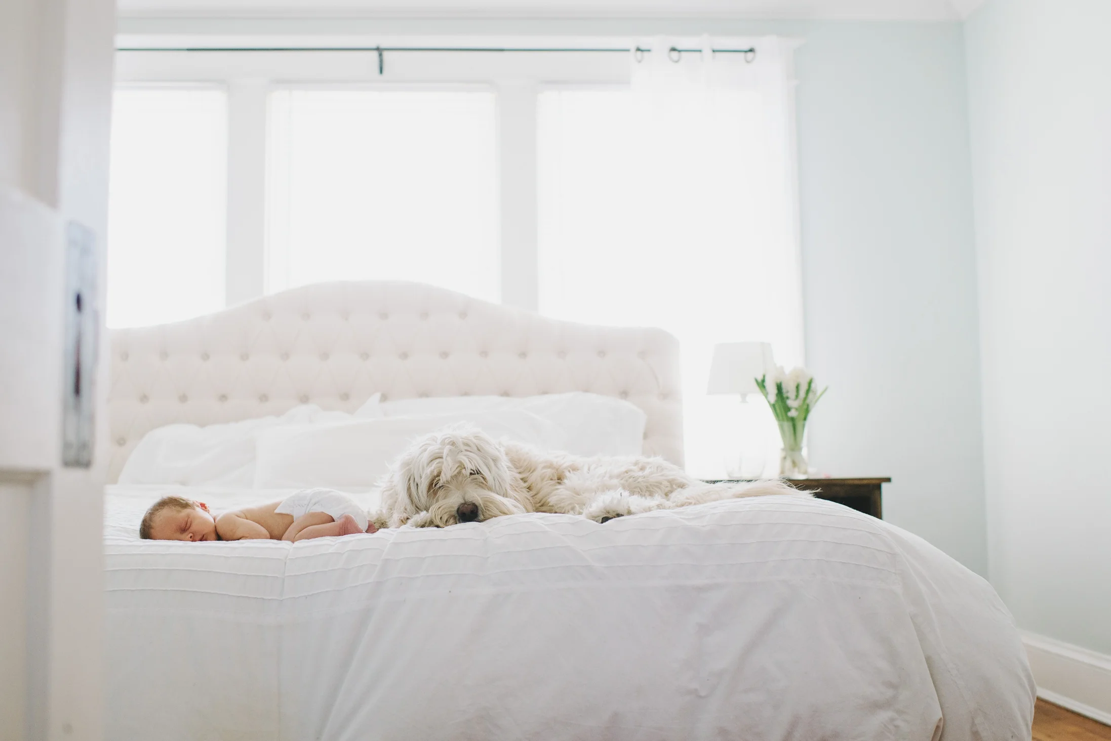 Yasmina Cowan | DC Lifestyle Photographer
