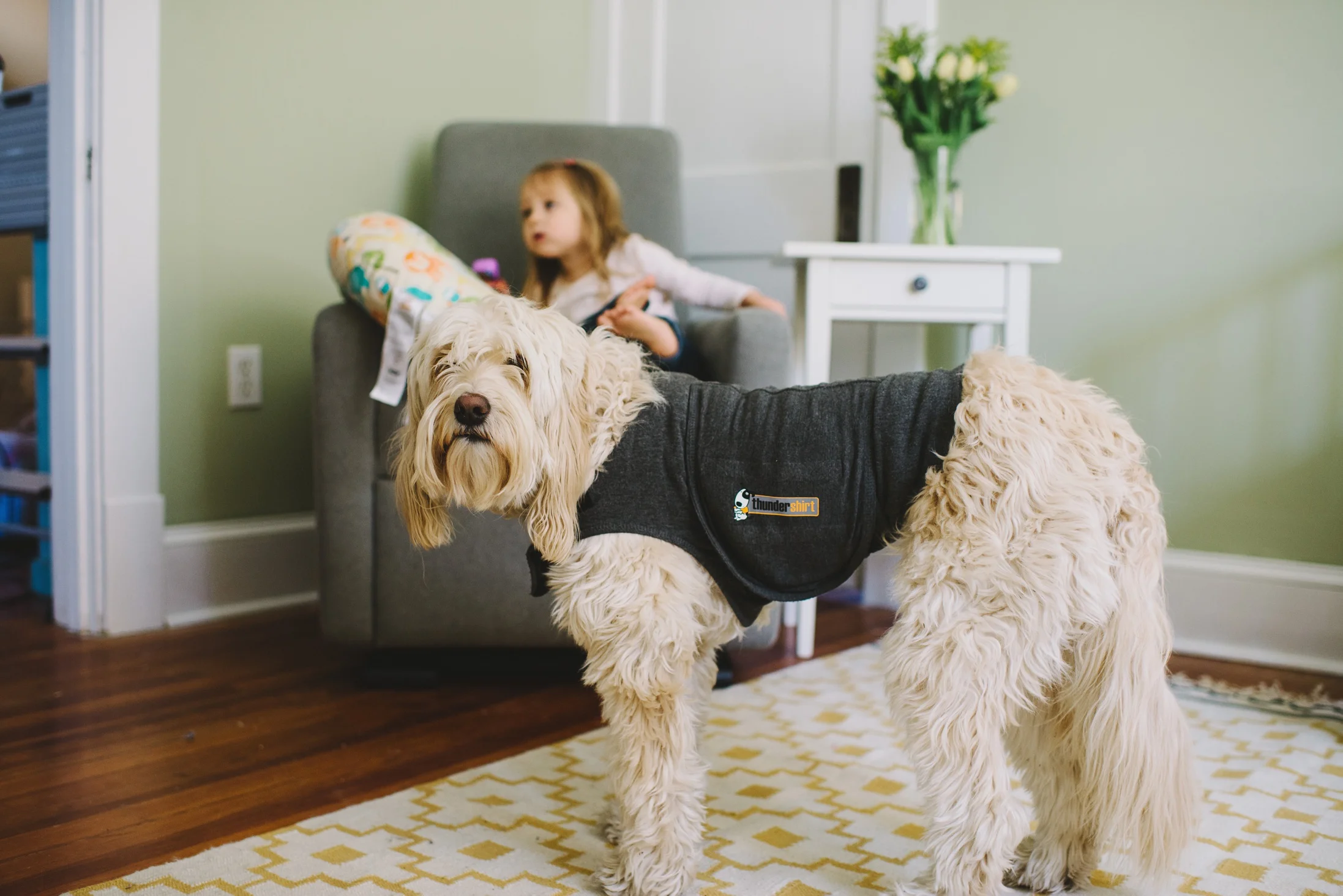 Yasmina Cowan | DC Lifestyle Photographer