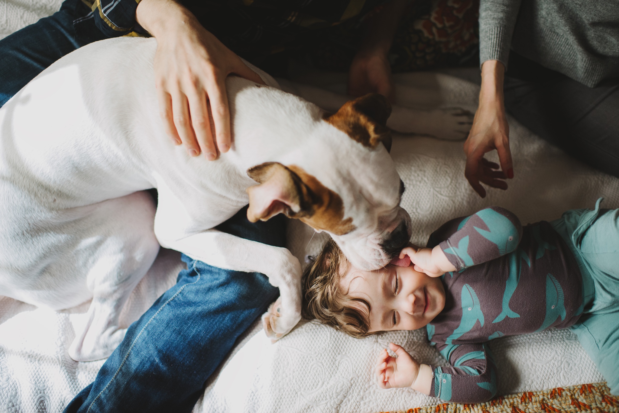 family of 3 // DC Family Photographer Yasmina Cowan