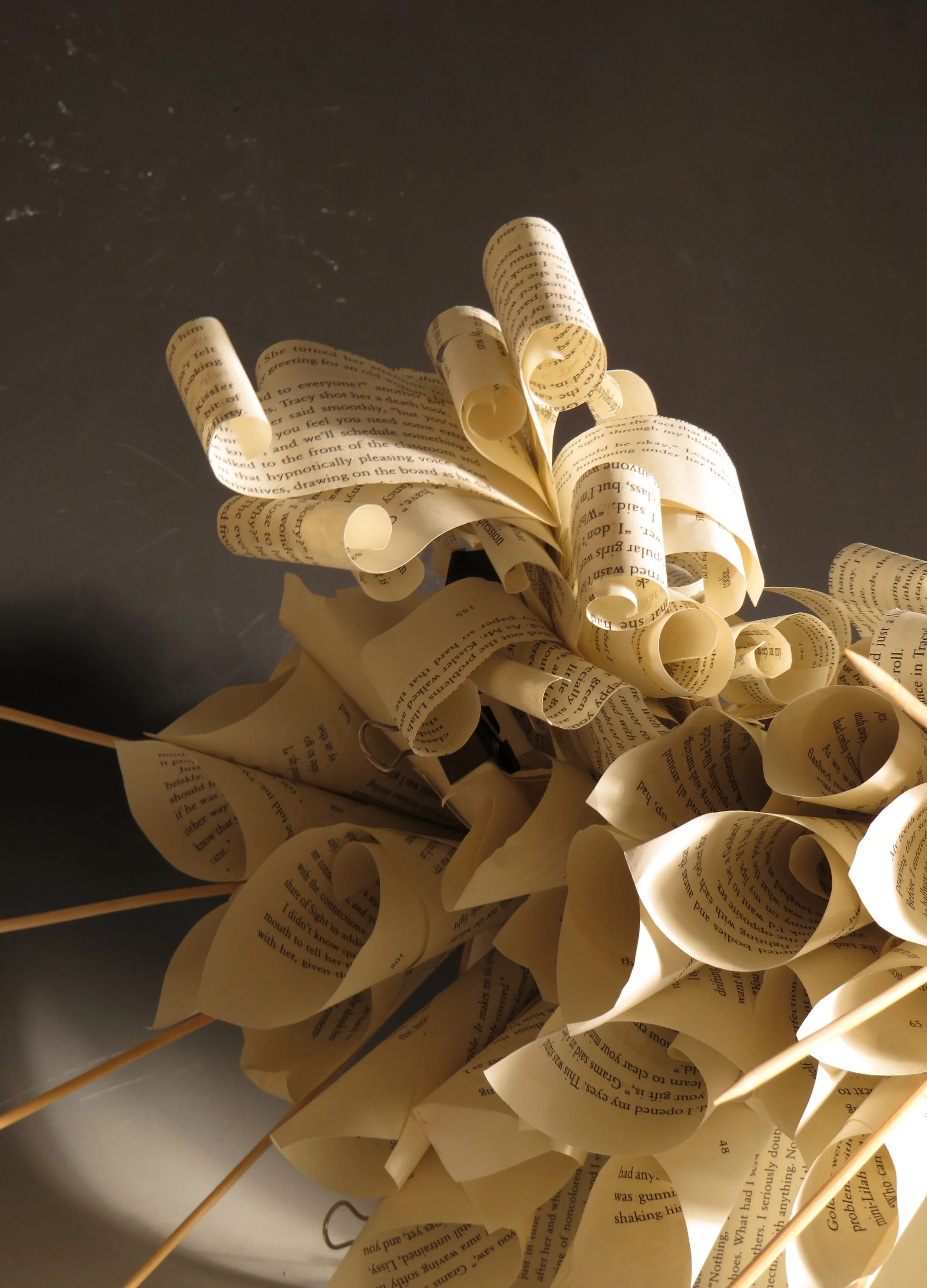 Johnson_Elizabeth_Knowledge_12_1 copy.jpg