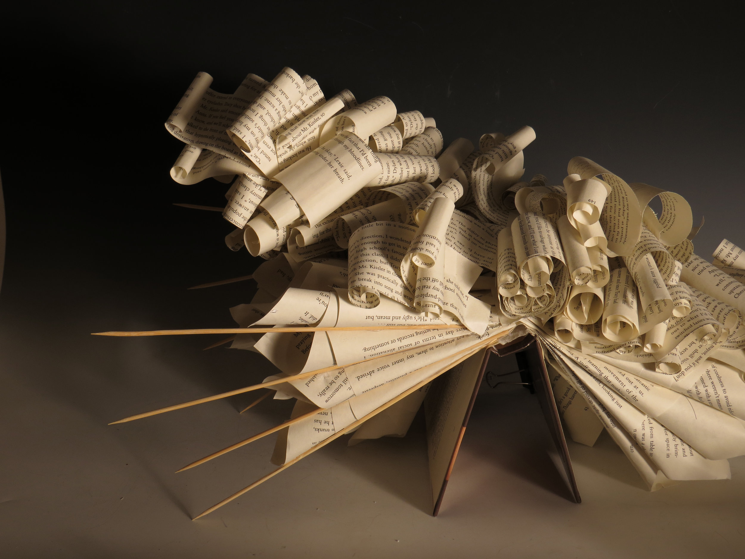 Johnson_Elizabeth_Knowledge_12_2 copy.jpg