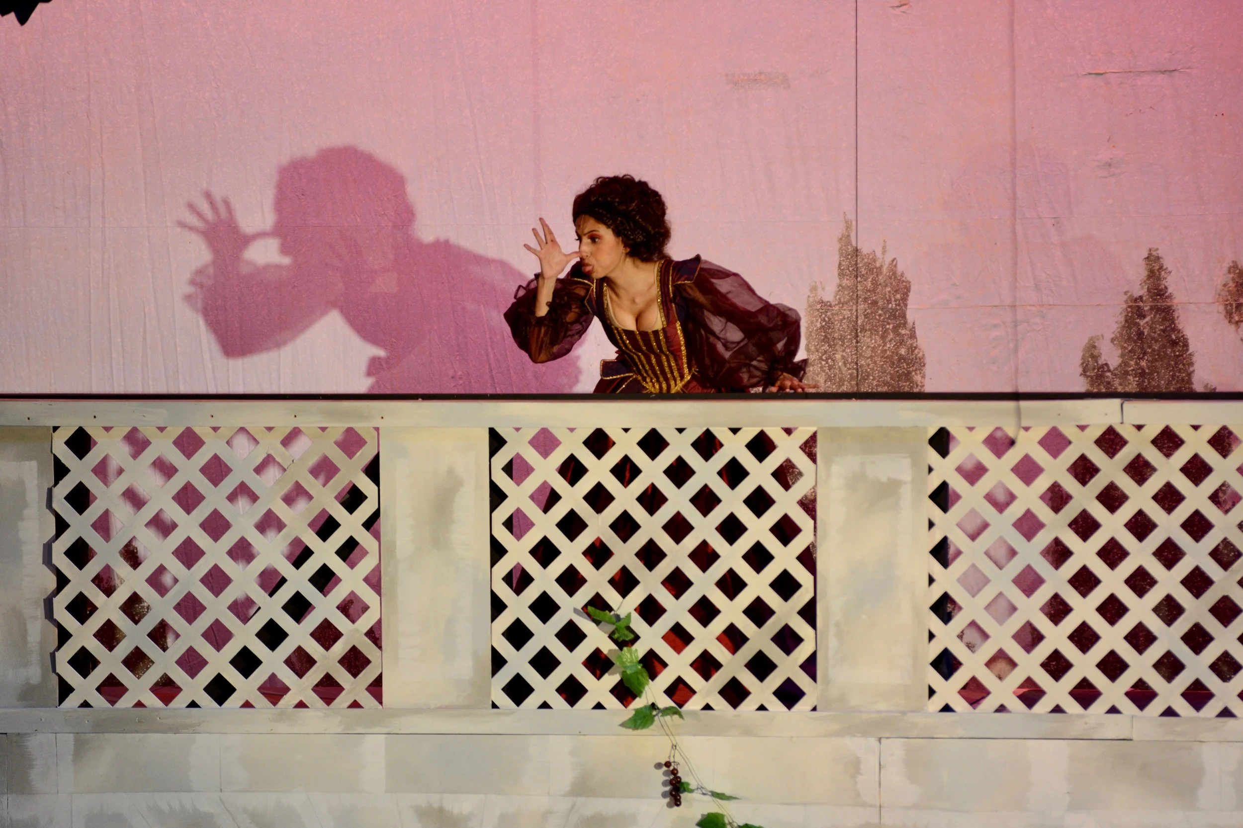 DSC_5998.jpg