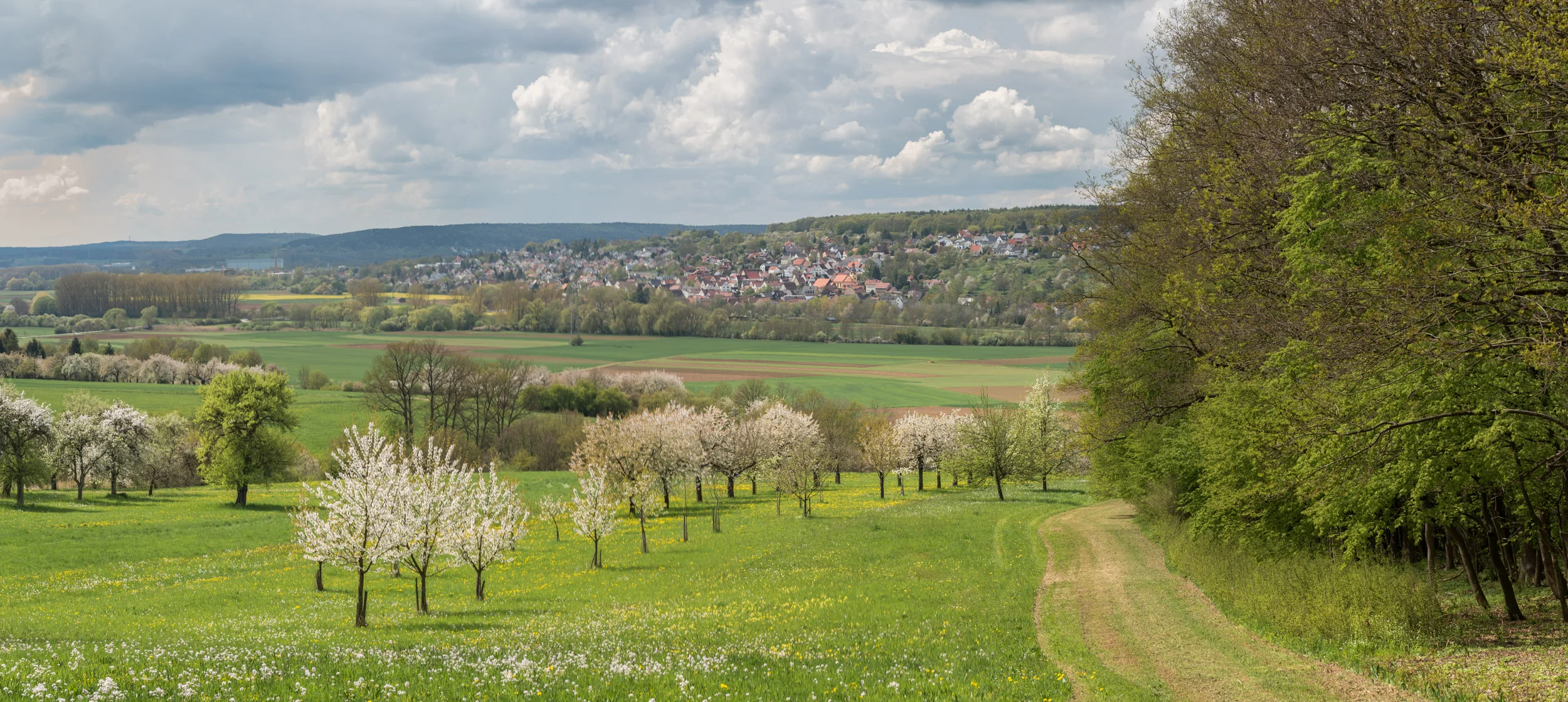 Ein Nachmittag in der Fränkischen