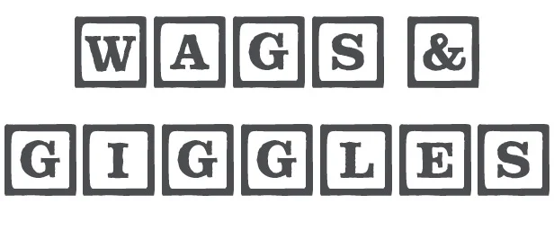 test.jpg