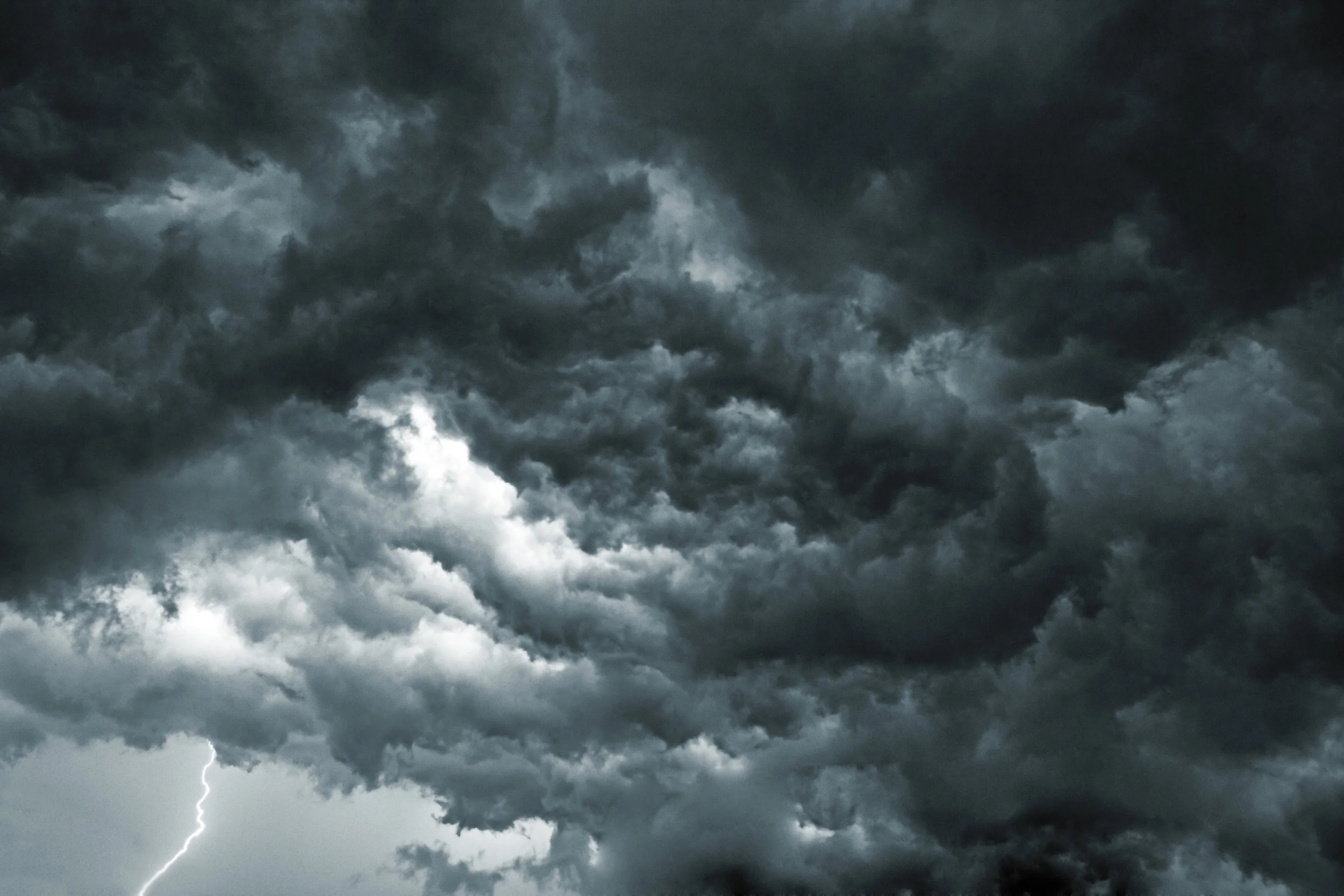 thunderstorms_dogs.jpg