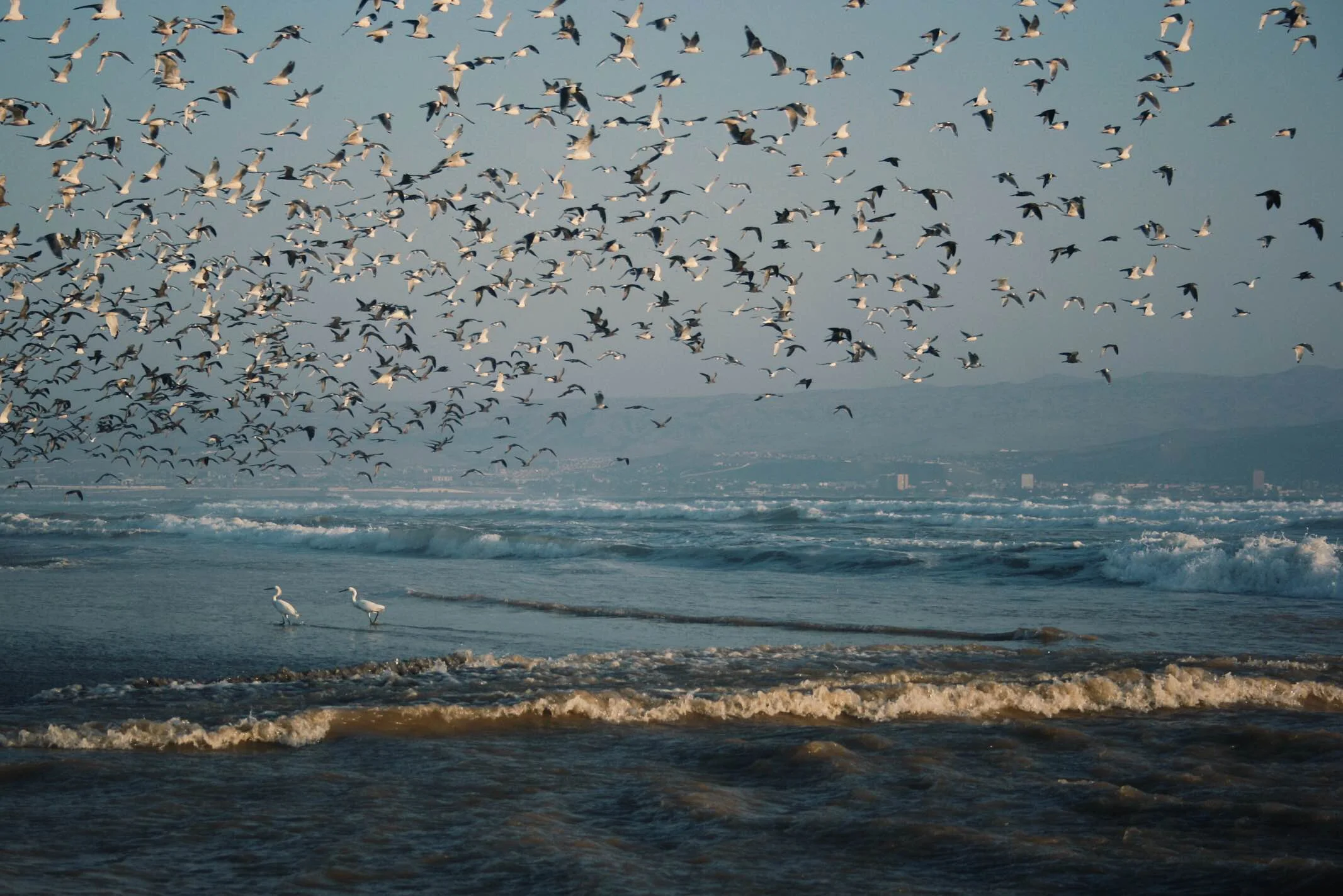 Four Inspirations for a Latino Wine Co.