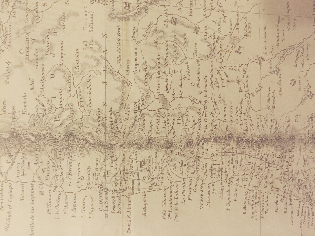 A History of Latin America in Three Grapes