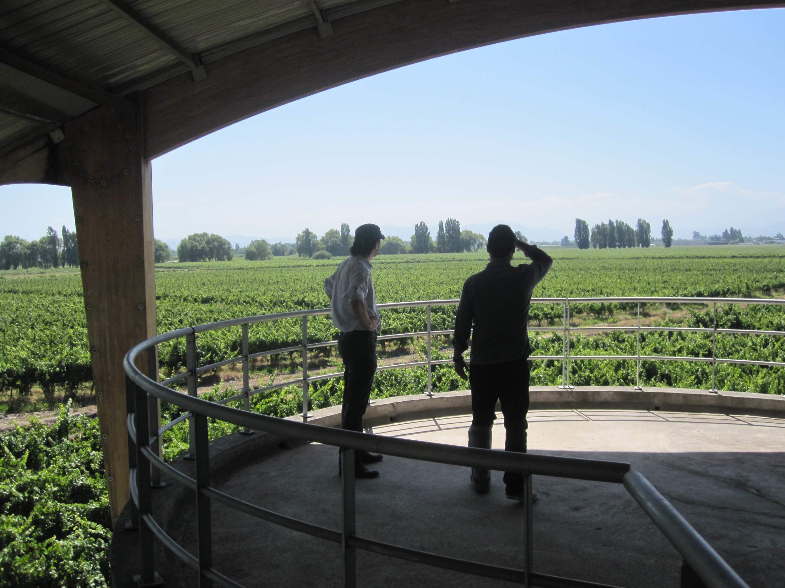 Julio (right) in early 2015 visiting the Alta Cima winery, a family-run operation in Curicó, Chile.