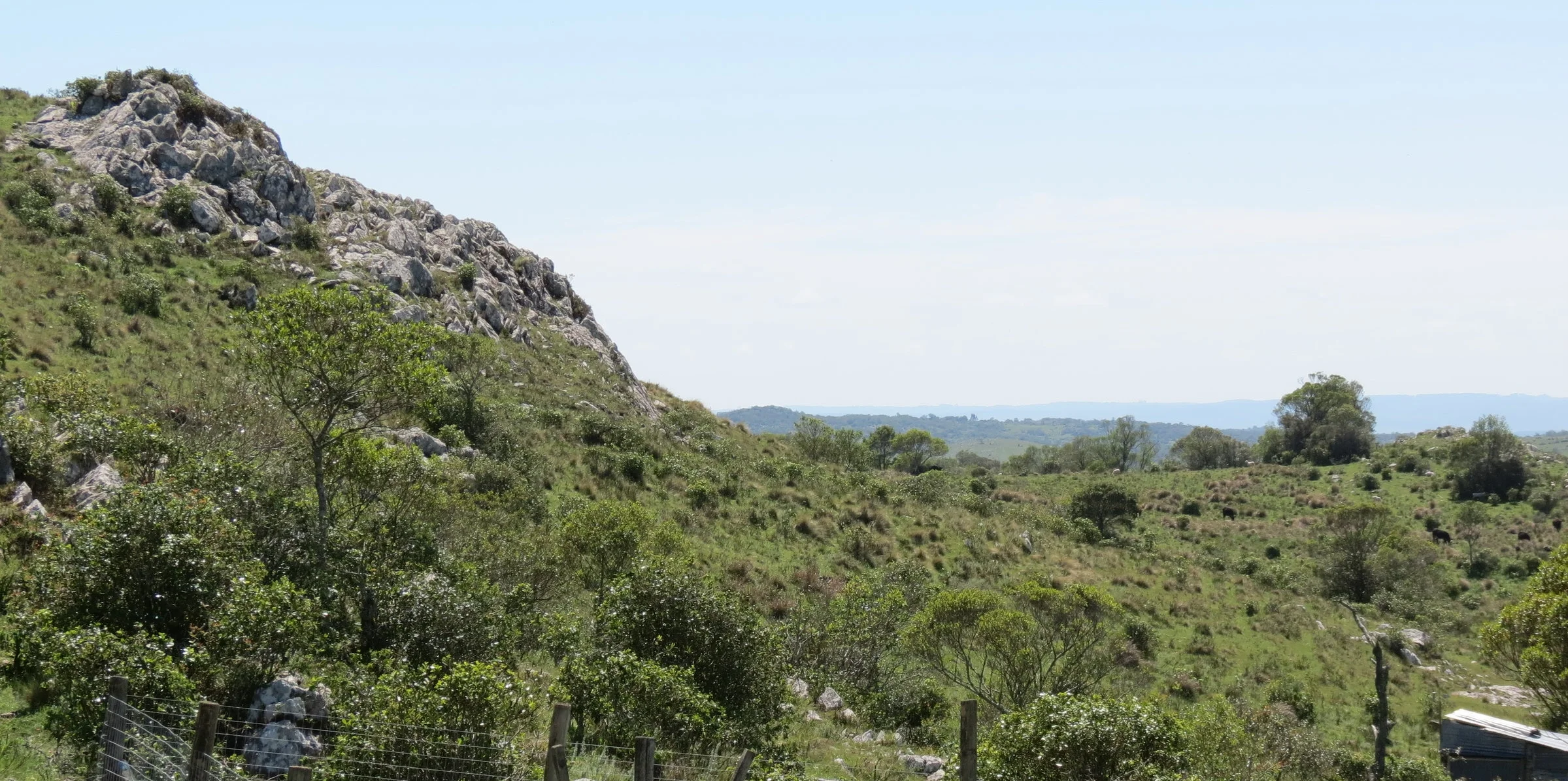 View of the Atlantic Ocean from Vinedo de los Vientos' newest vineyard