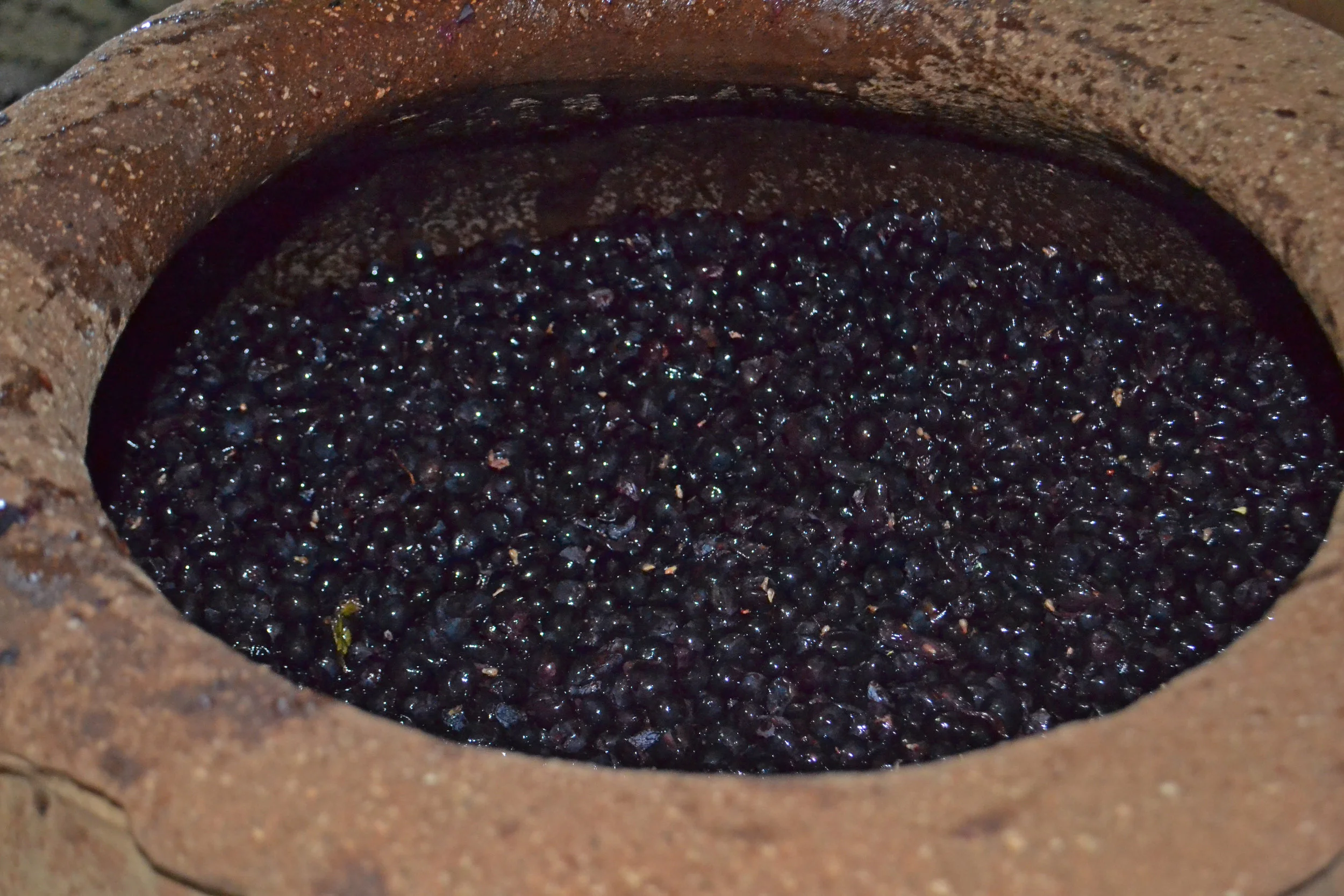 Grapes in an amphora. No, these are not the same grapes in the Viejas Tinajas Muscat! (We know, cause they're red!)