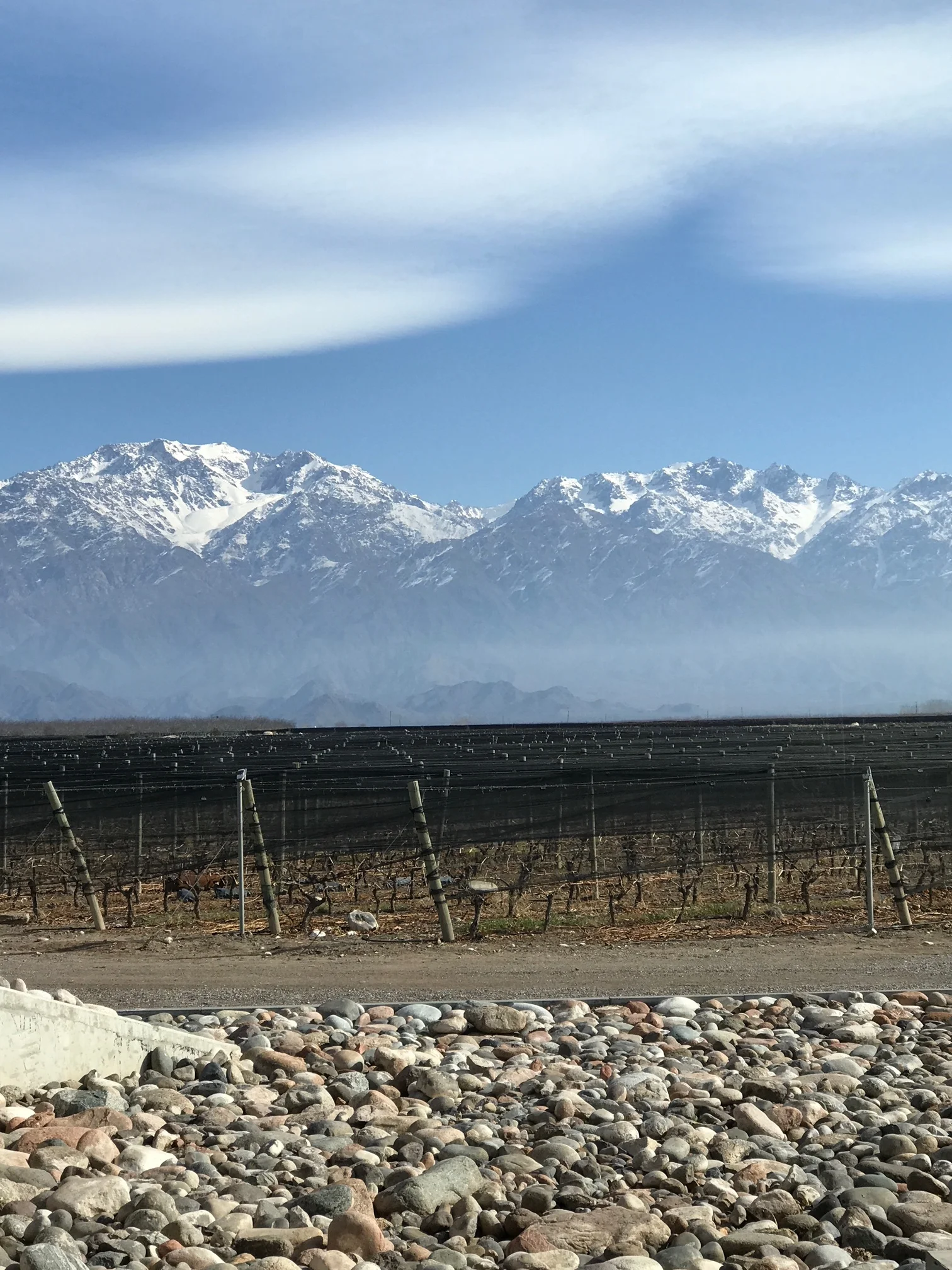 Claire took this pic on her recent trip to Argentina!