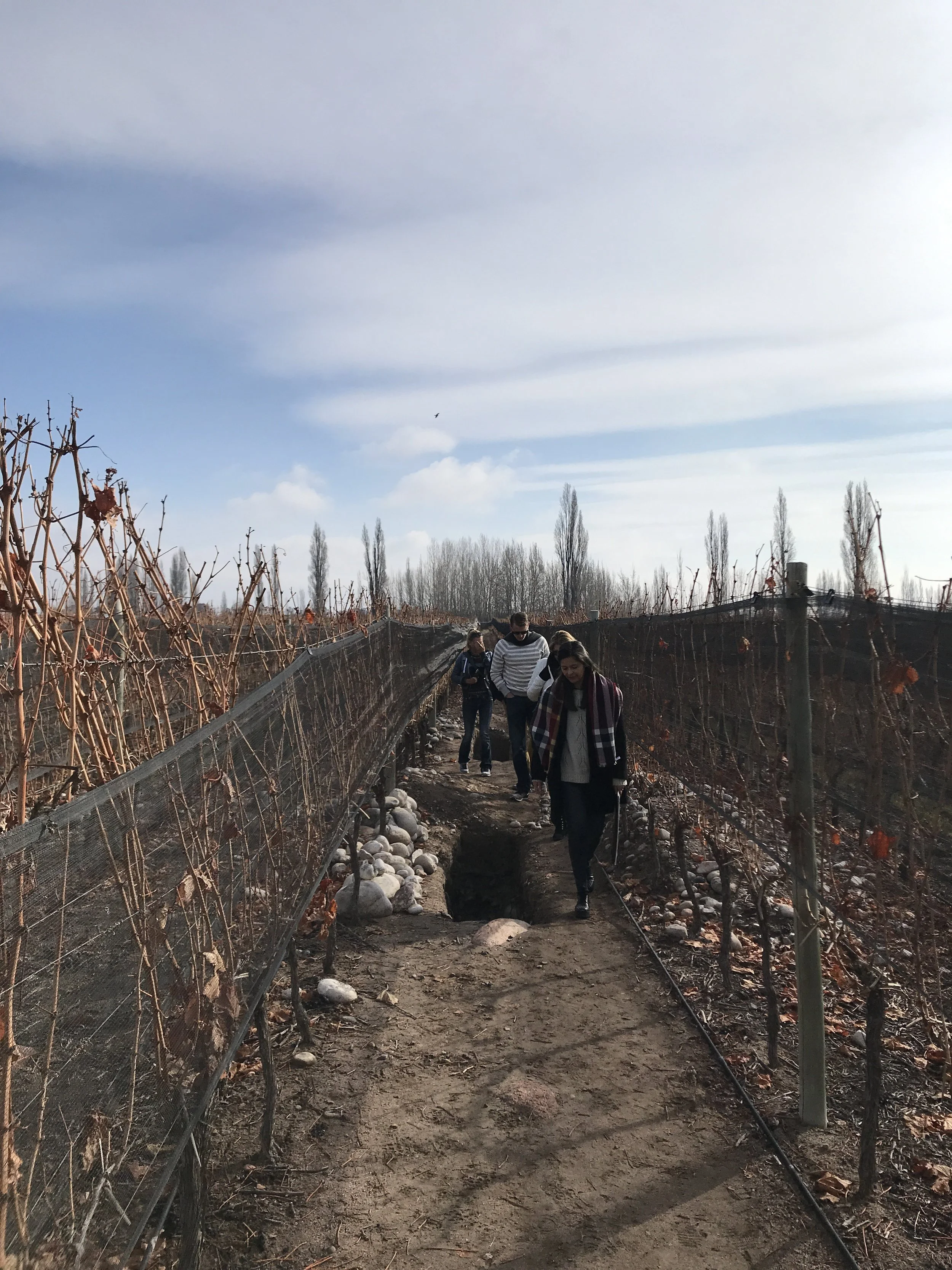 Calicatas in Zuccardi winery