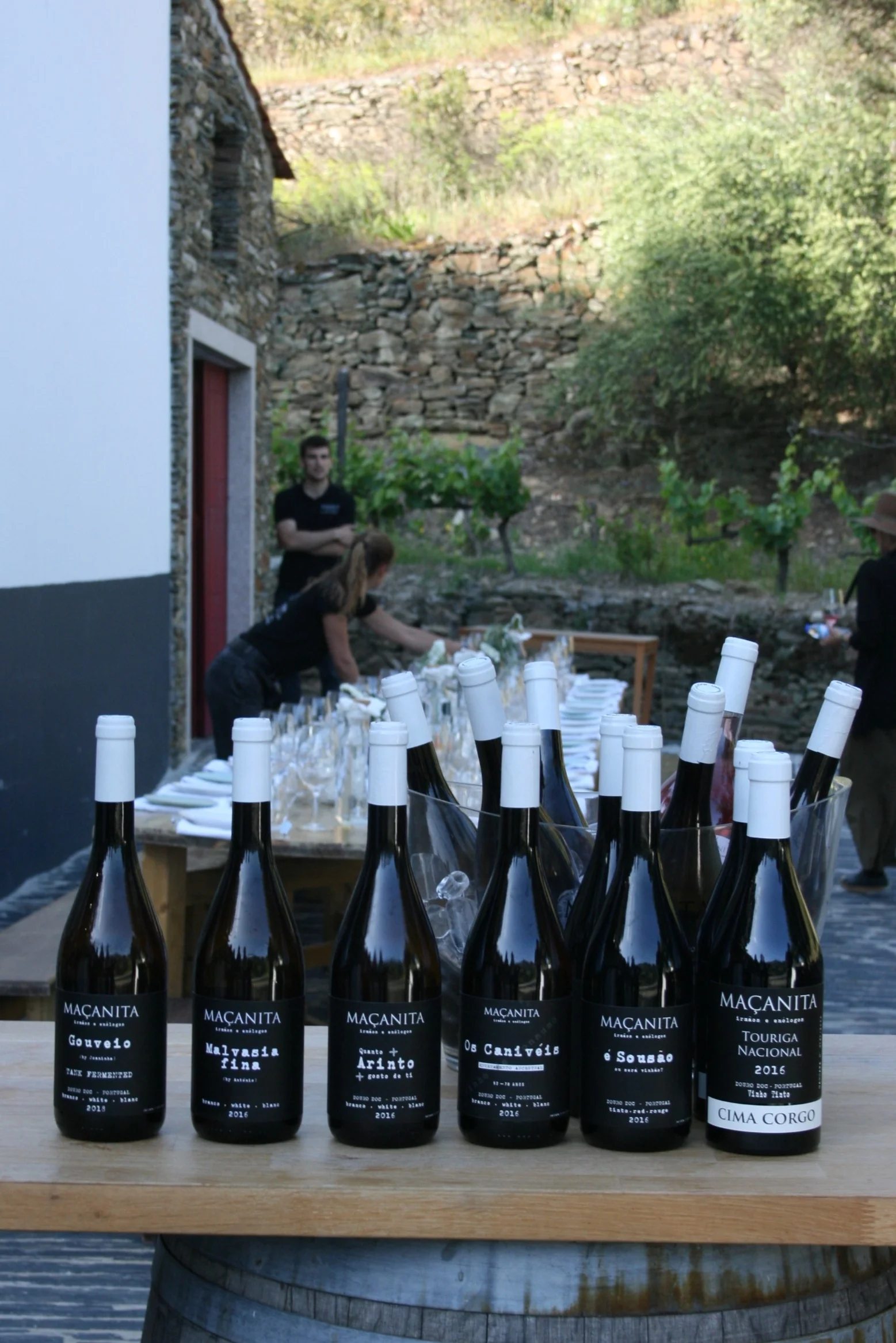 Macanitas winery in Douro Valley.