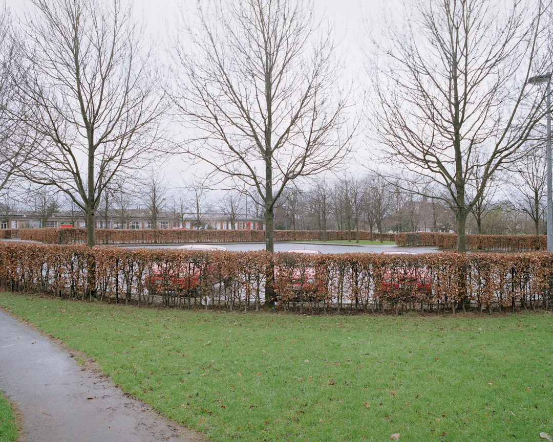 ALVA_010.jpg
