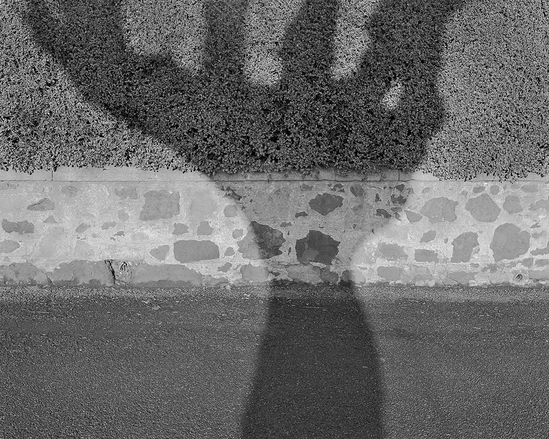 ABW0001.jpg