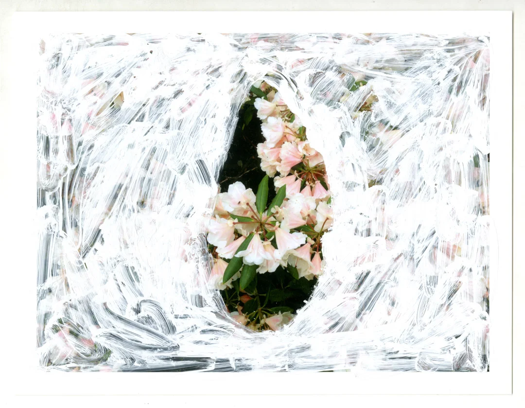 Painting002.jpg