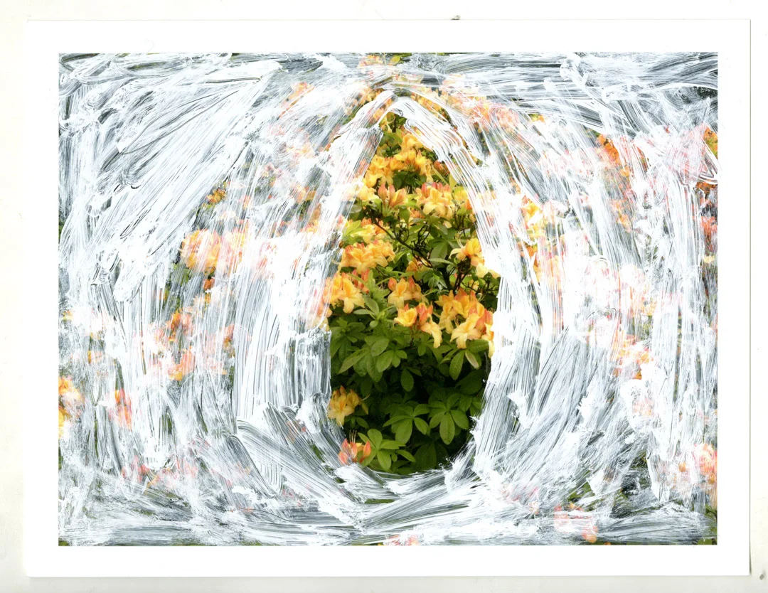 Painting003.jpg