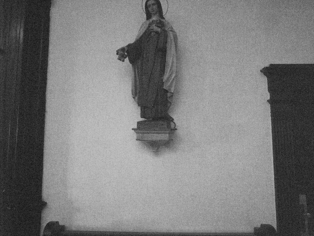 IdolsVienna0003.jpg