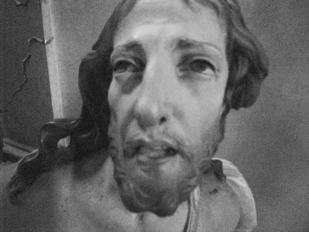 IdolsVienna0011.jpg