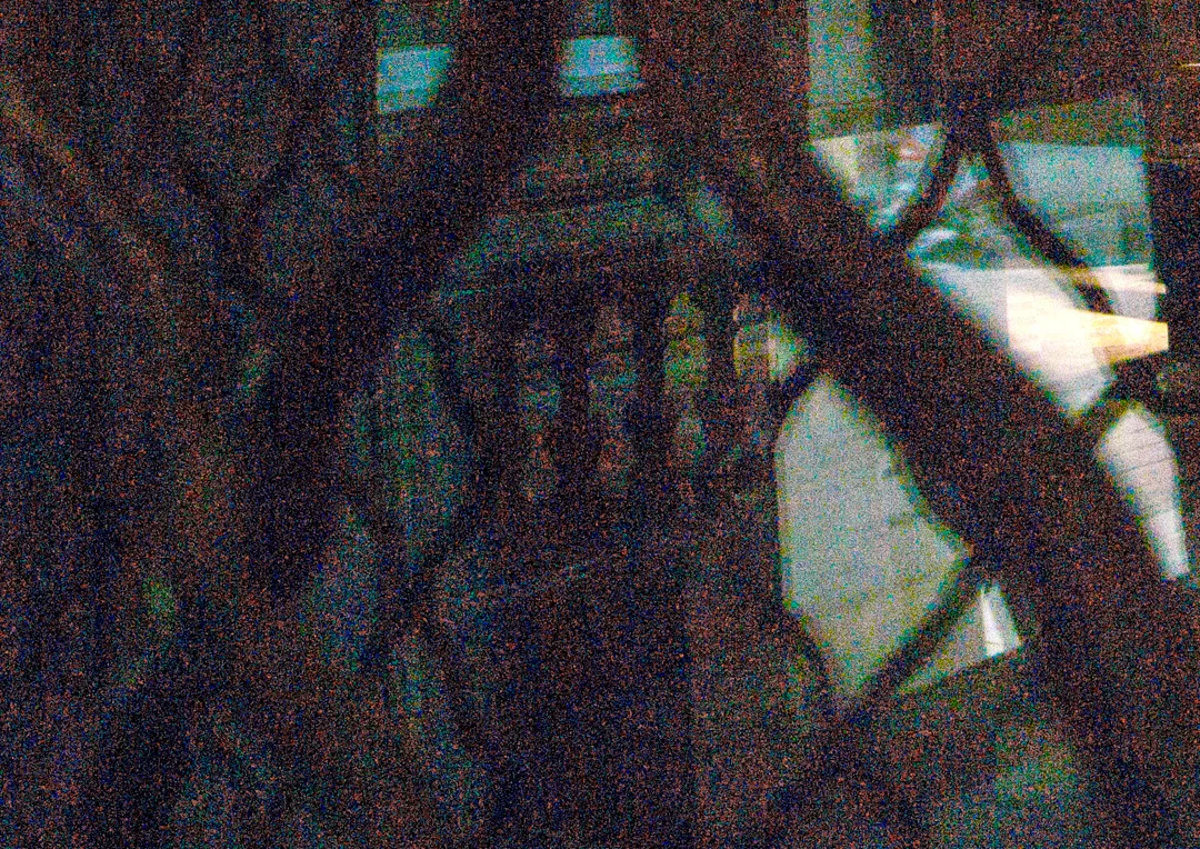 IdolsVienna0016.jpg
