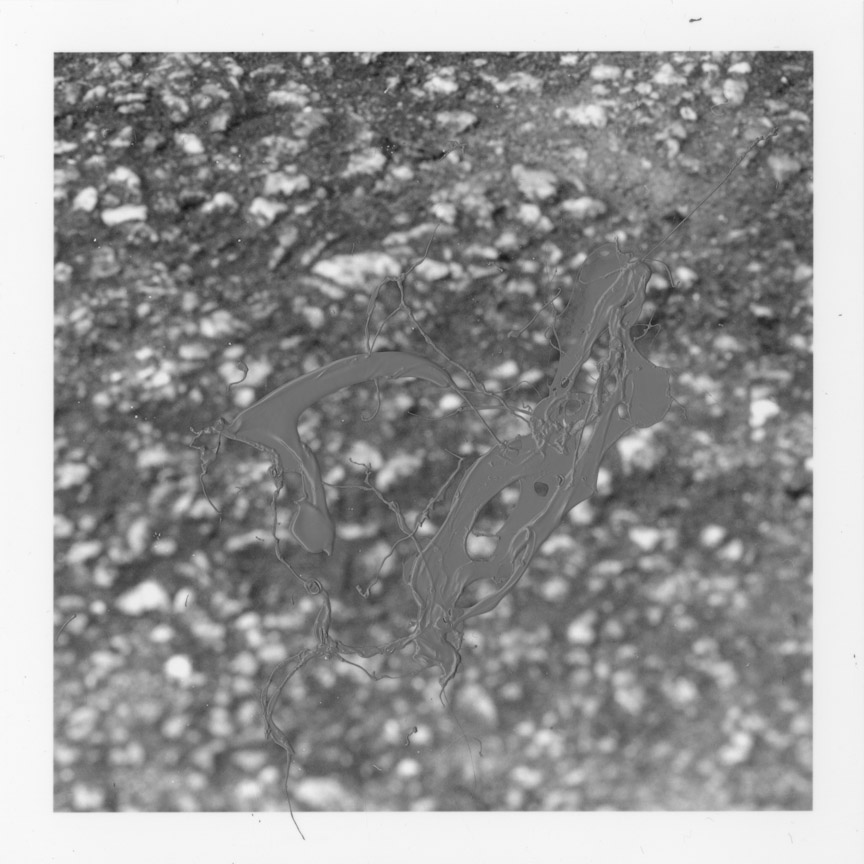 ODBW015.jpg