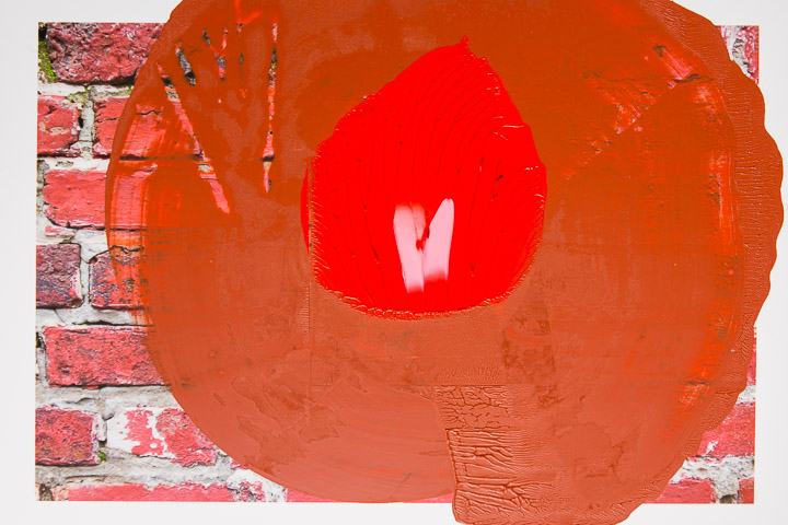 AbMursW-017.jpg