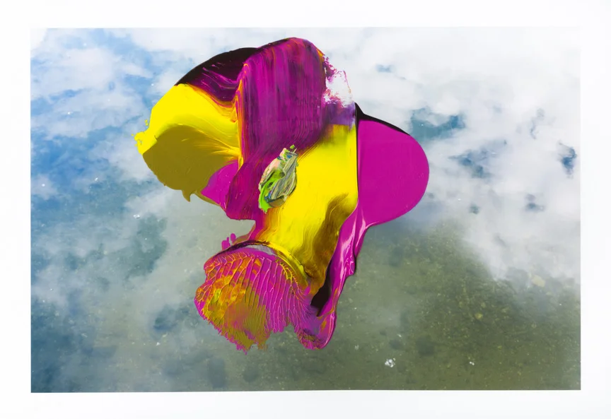 Waterlily003.jpg