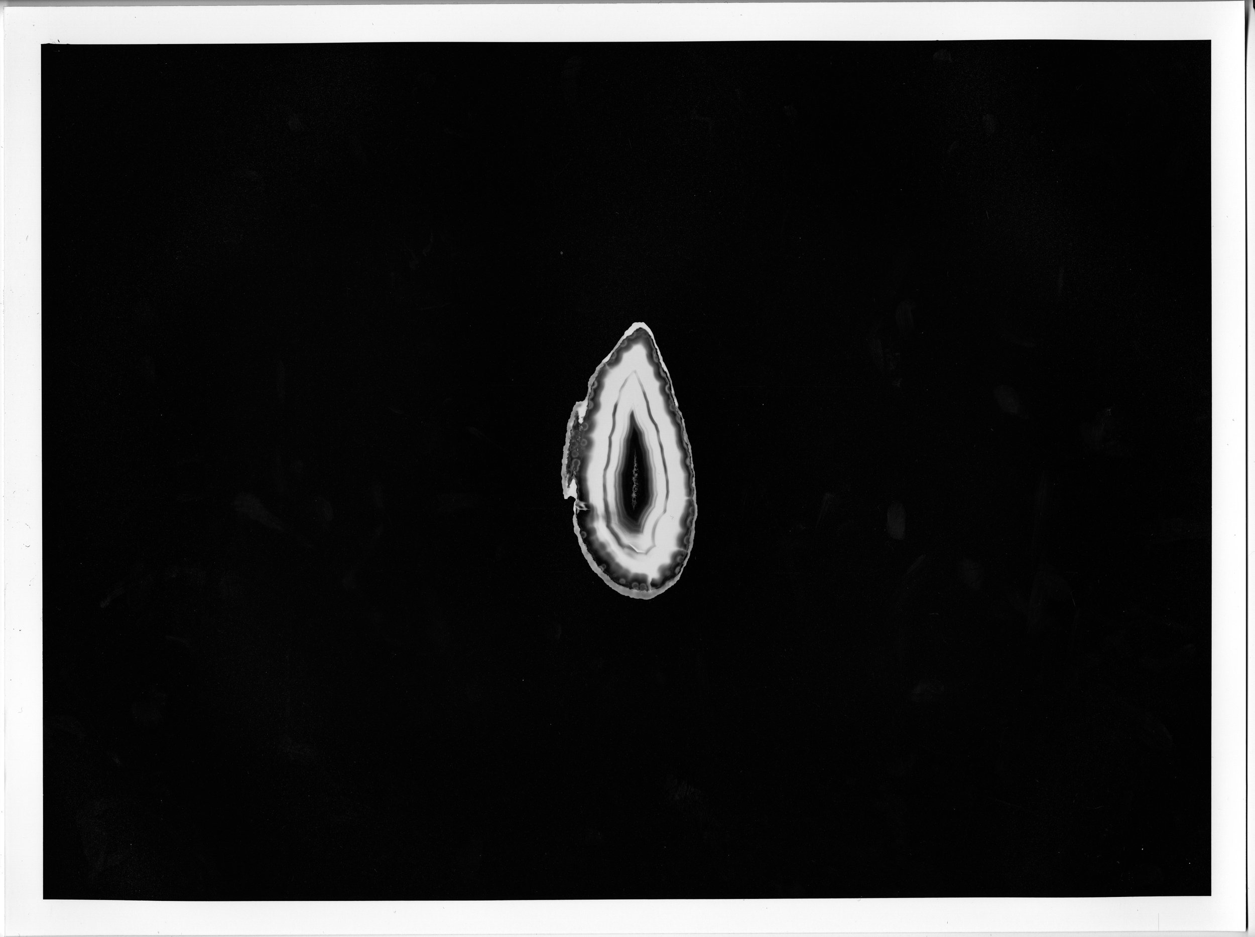 LegalDocumentsWEE010.jpg