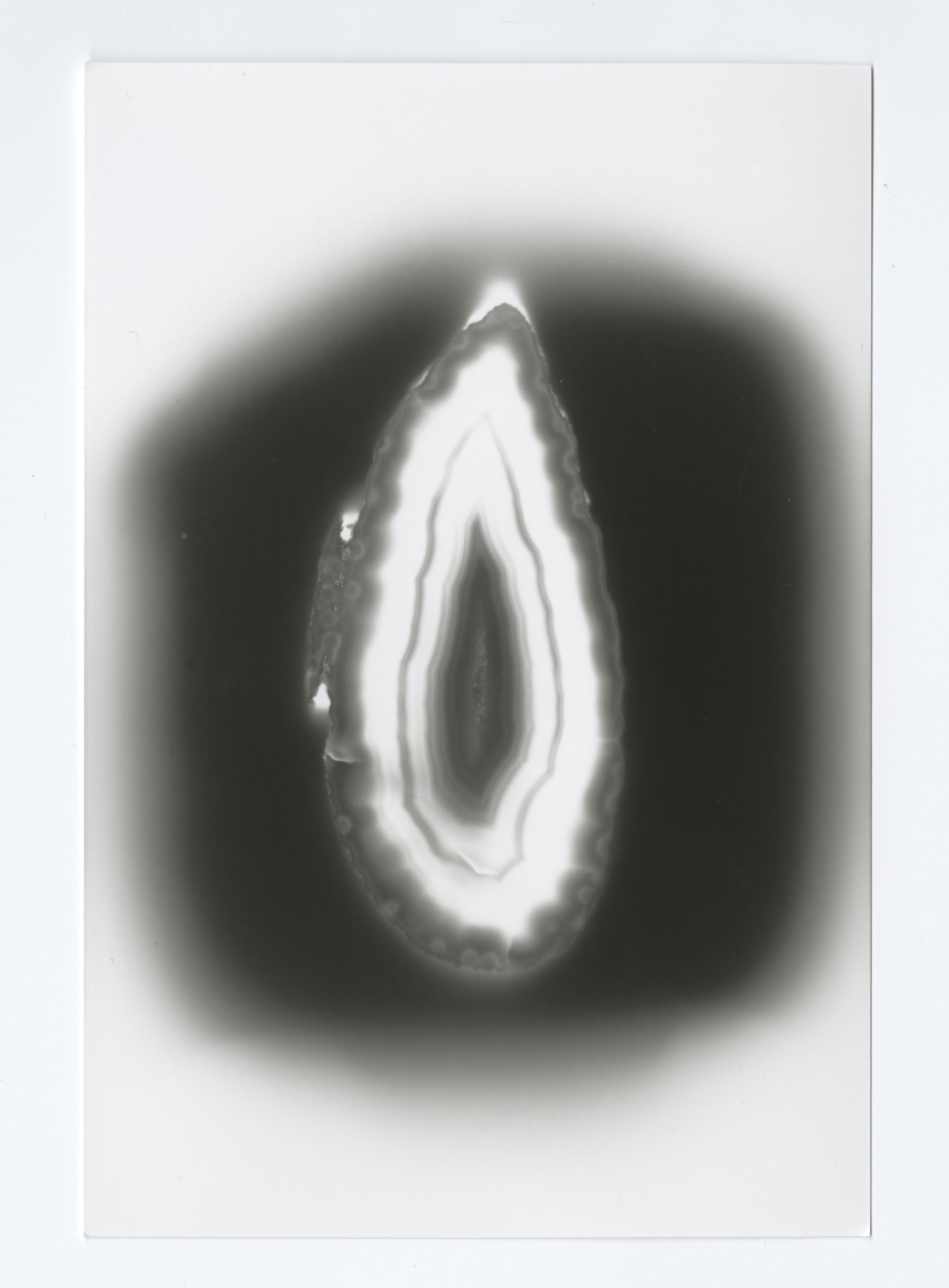 DovaniumXX003B.jpg
